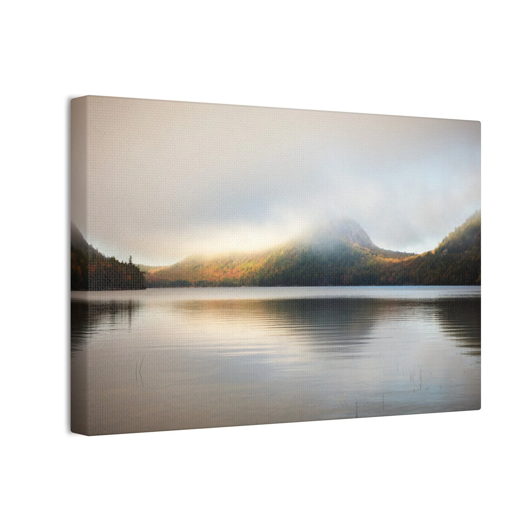 c6761b29c1abacce9a258acdc3eed262