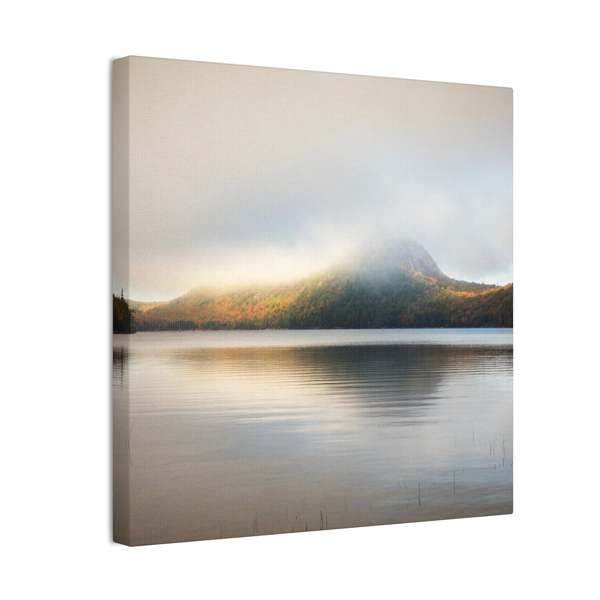 4b39daa508c5de2a1f9ed14ebd281a57