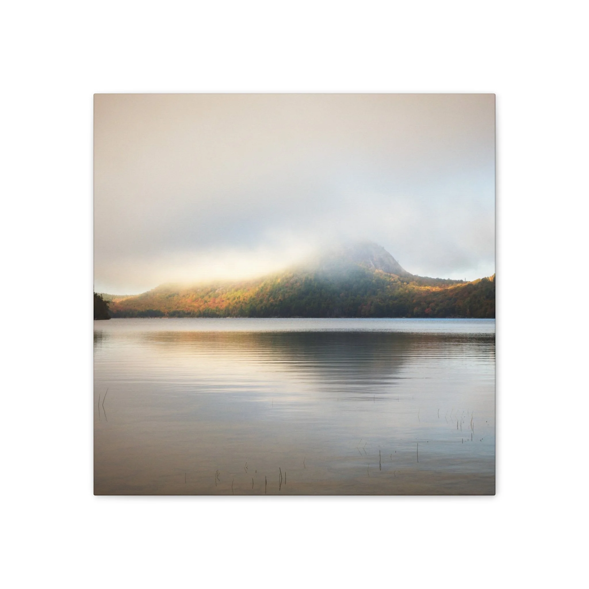 69faa7beab3dd16093dd6448ef3dc58c