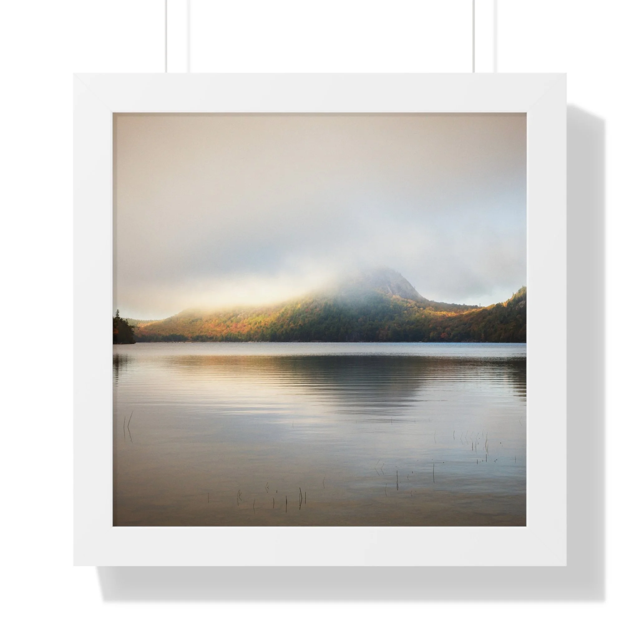 13b66f3279384ec32f724a86d201378e