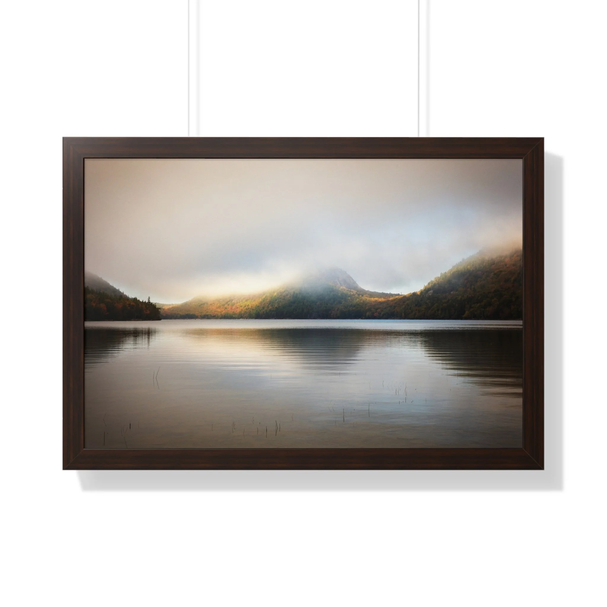 d3e70452125234bf3bbb9e3c4bbb32f7