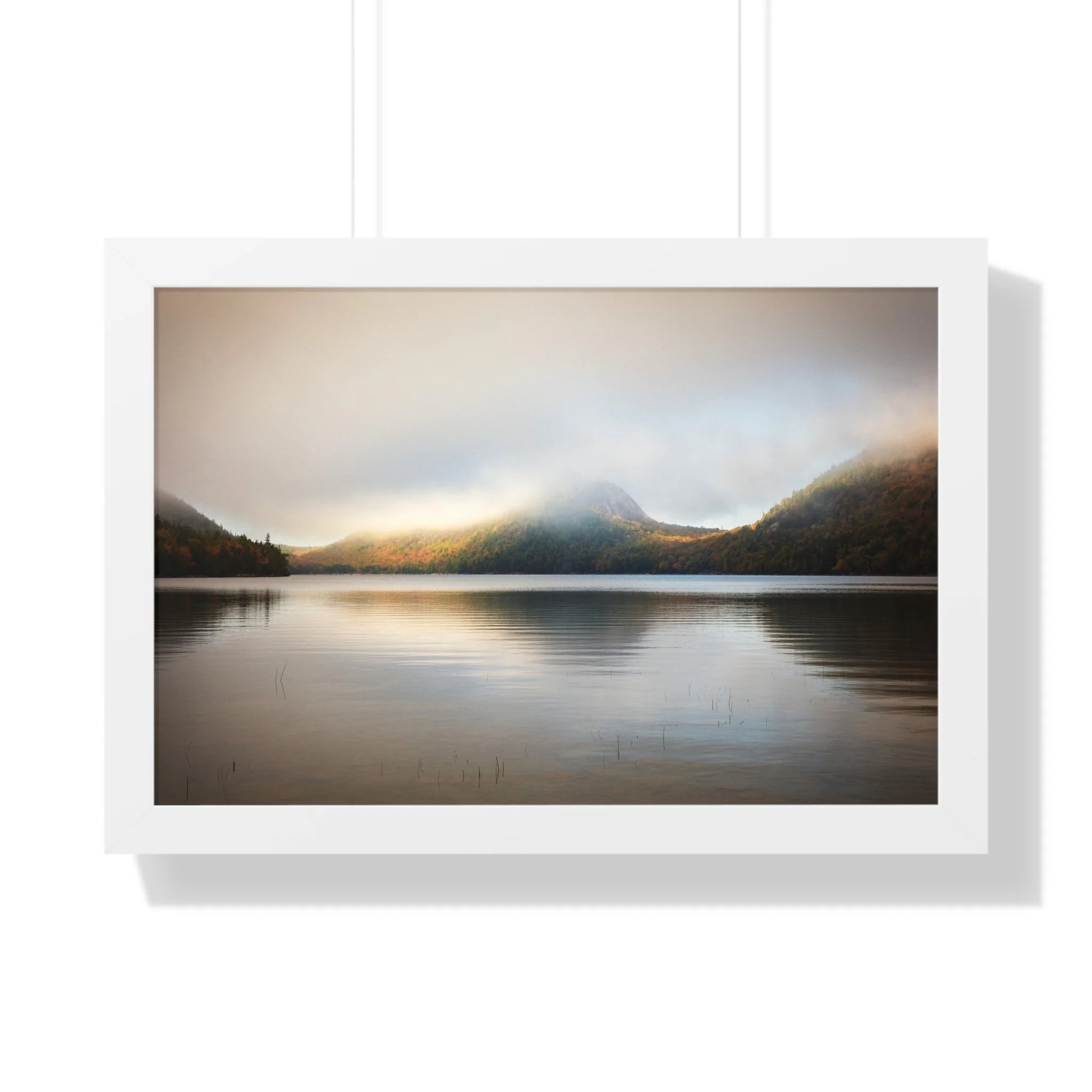 cc110ca6353ffb9cf00d579862d3b1b8