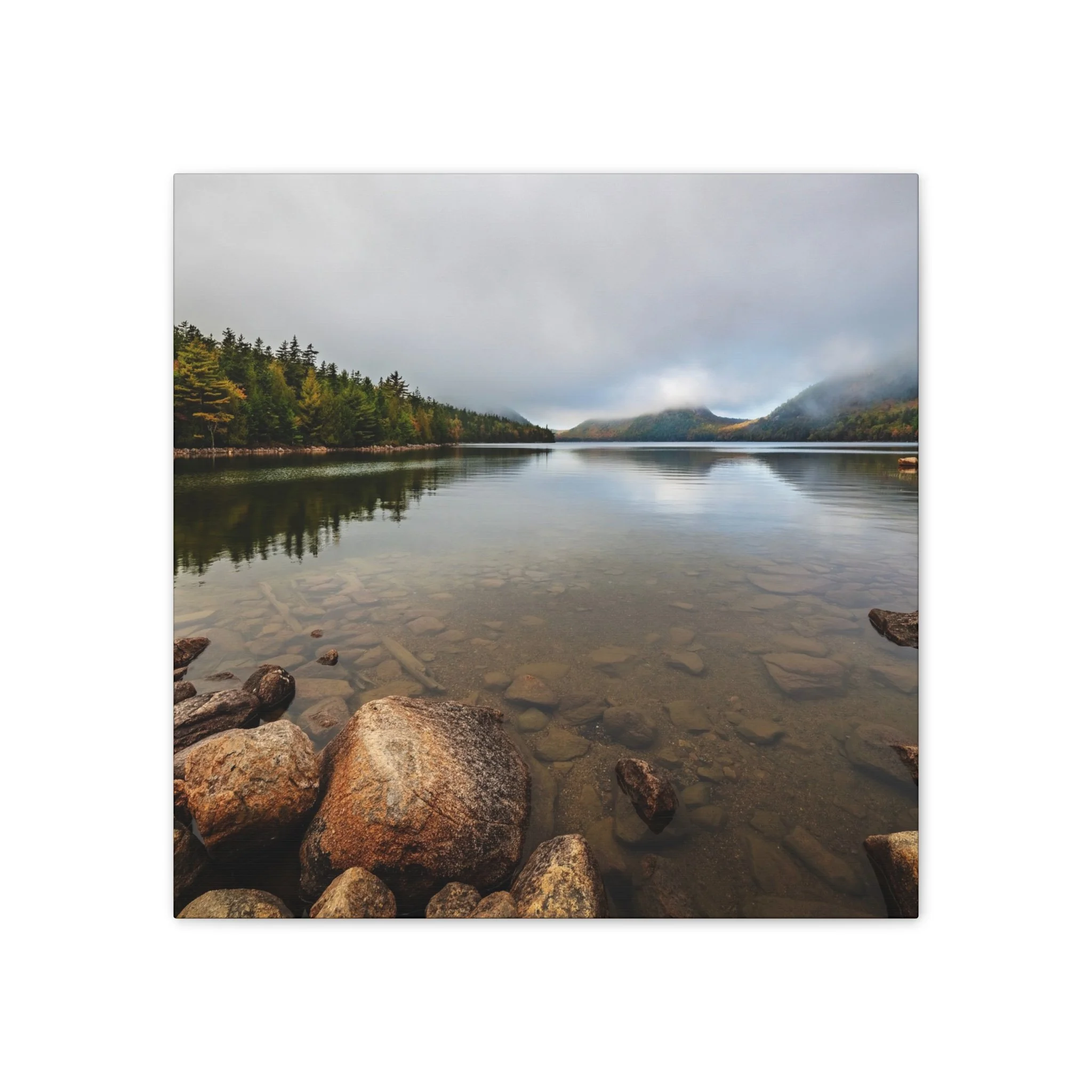 05738e8d9f0e041bf98d65da0976e176