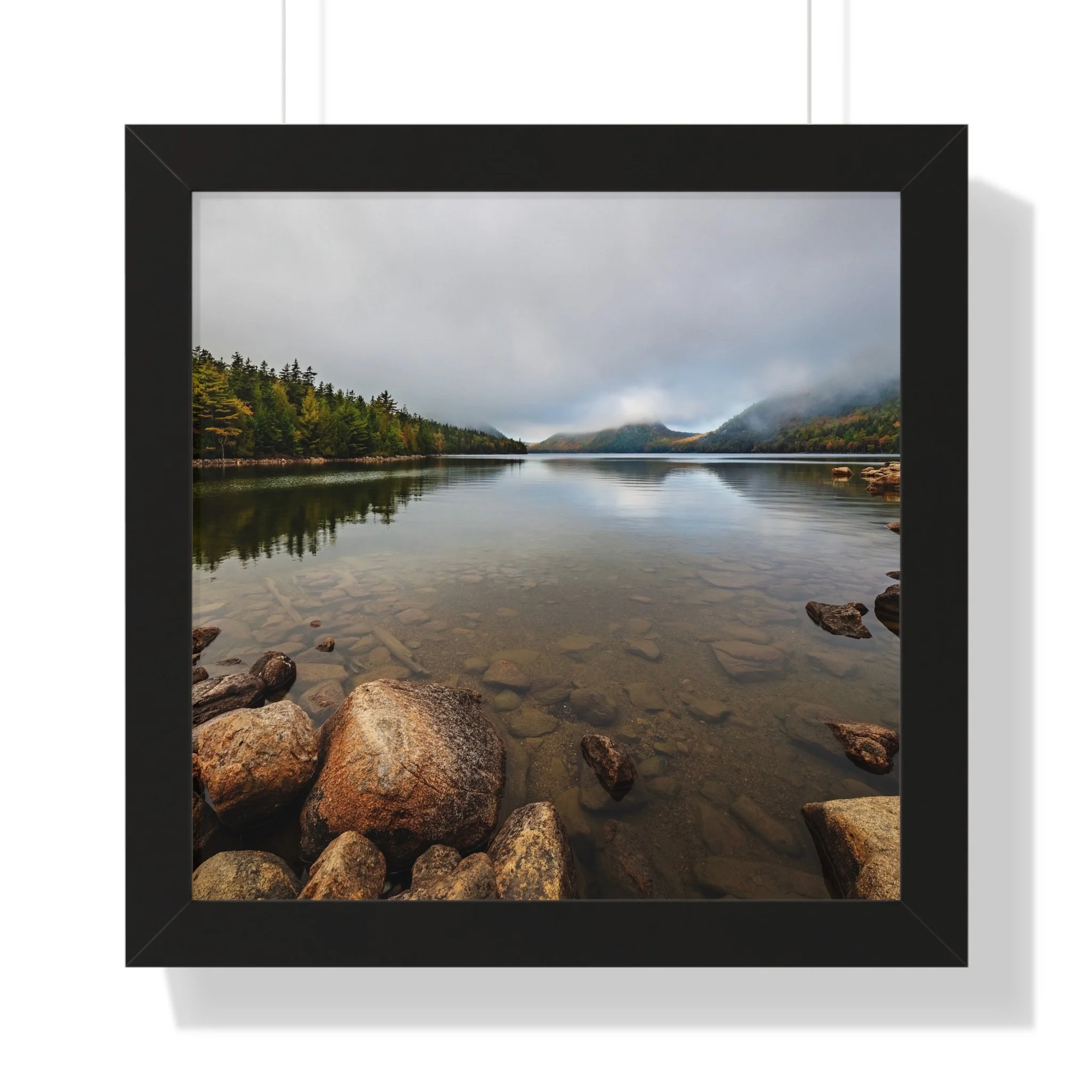 73709c3b1bb78cc9ca8ac04b6a0ab768