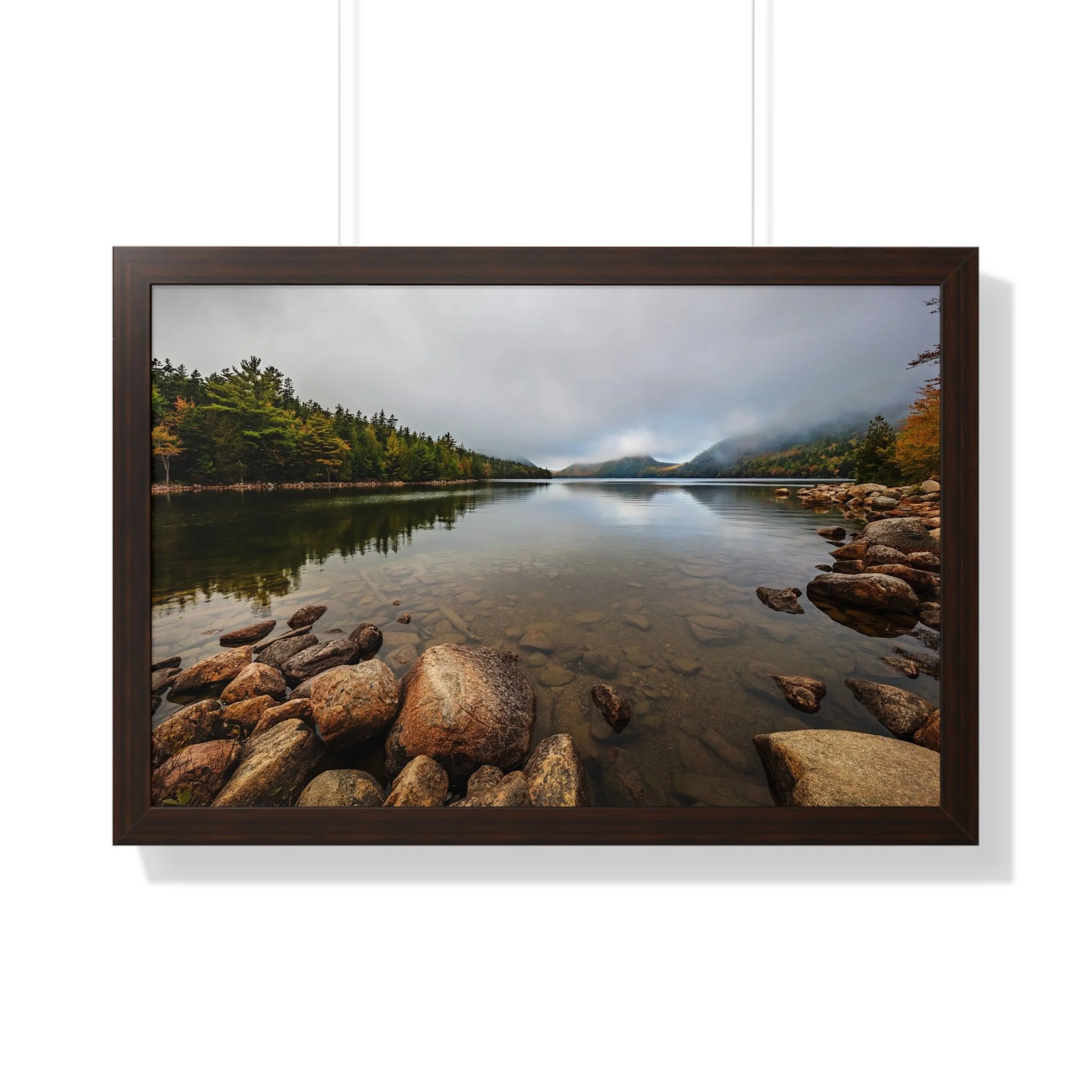 a785566b4226a6e6f421edd357adb6a4