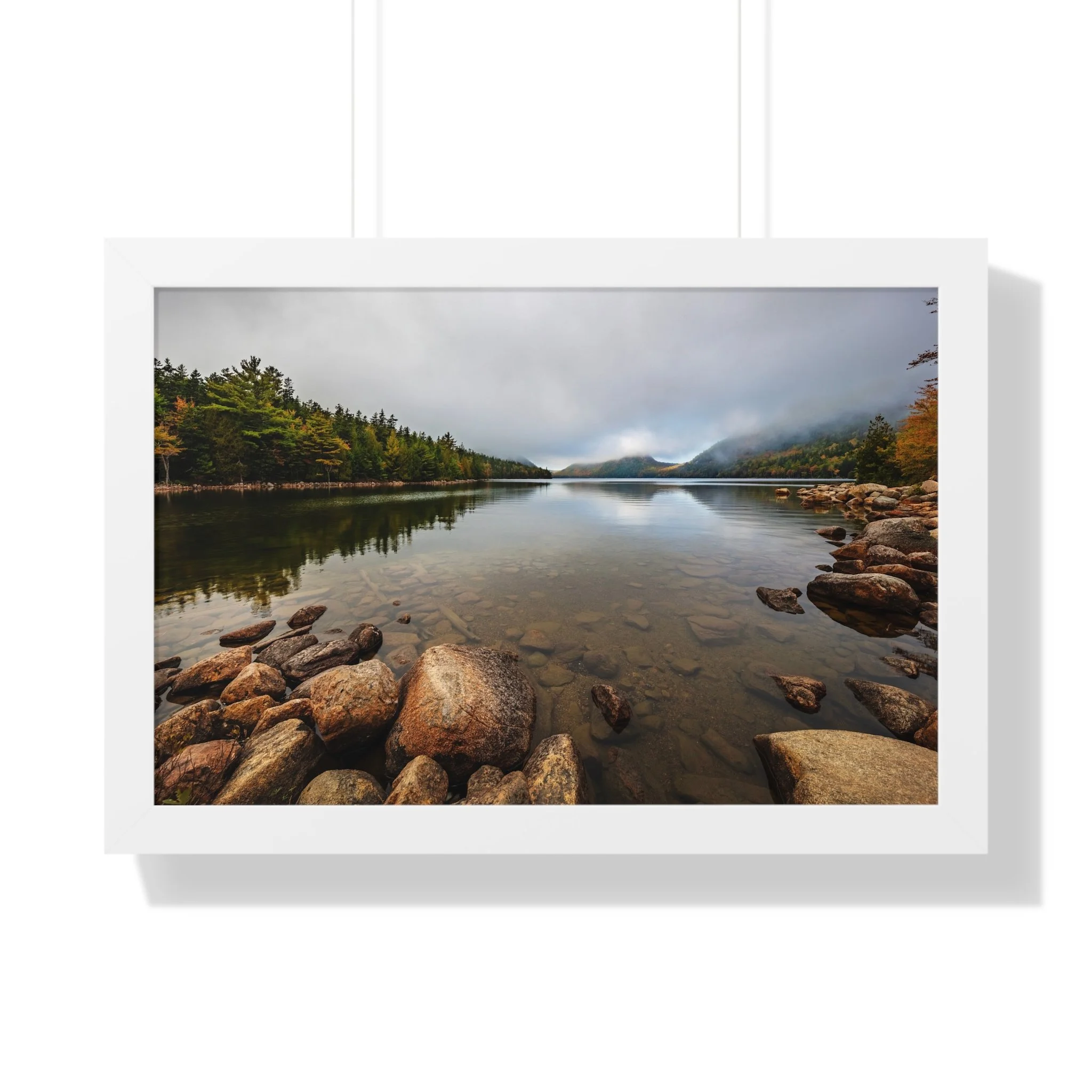 d9f1567b19d5335b677f2f7870b633d6