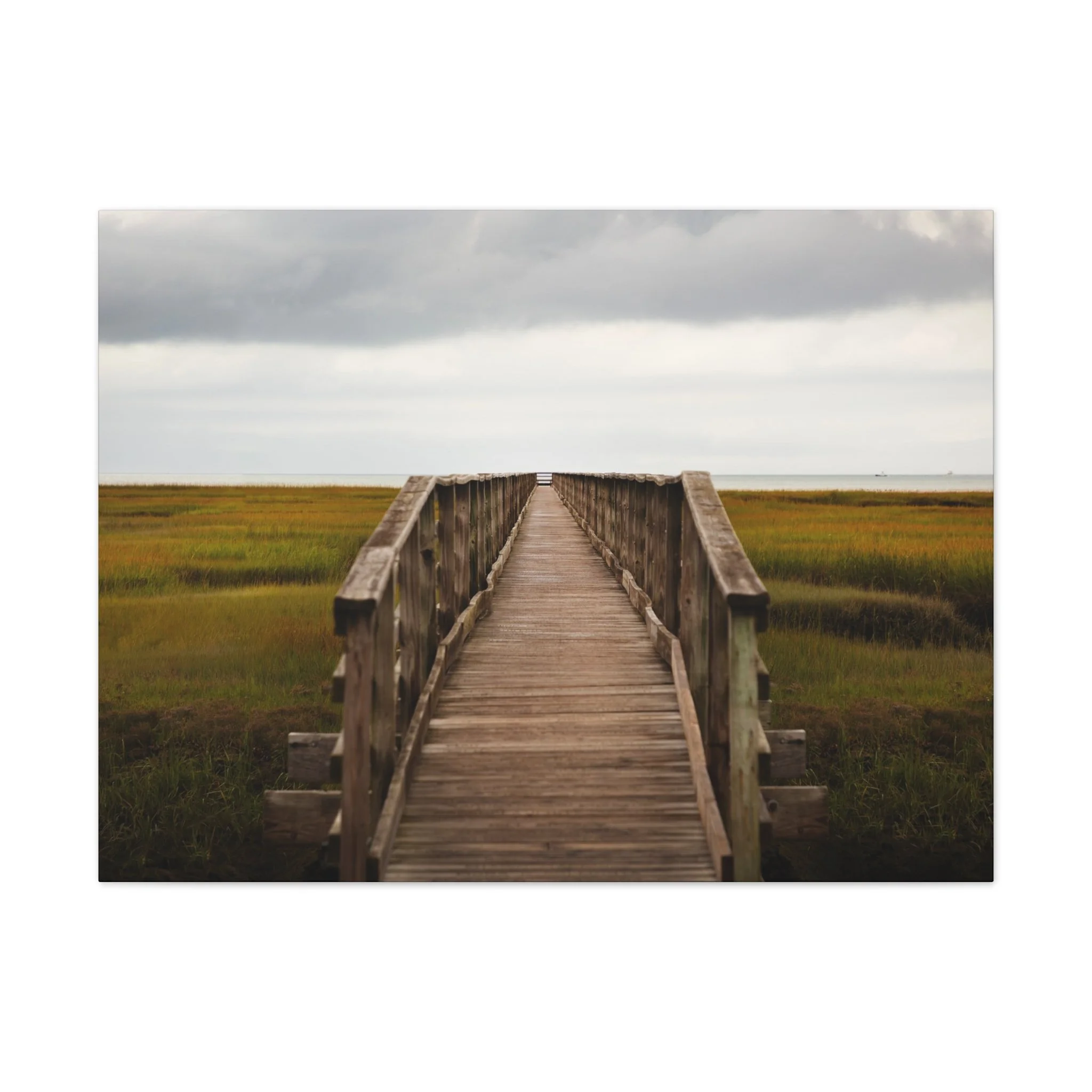 185b1c549059d3efb6e60b1c0f5644e4