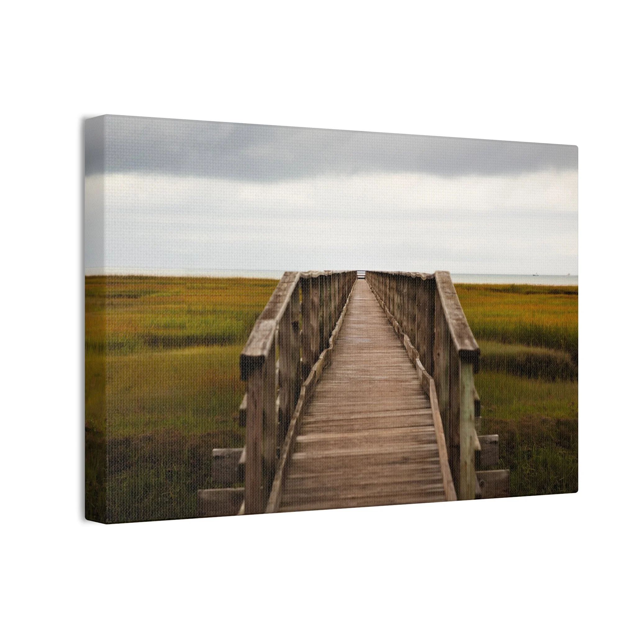 8da1034b092b8245c218bf93d81541a3