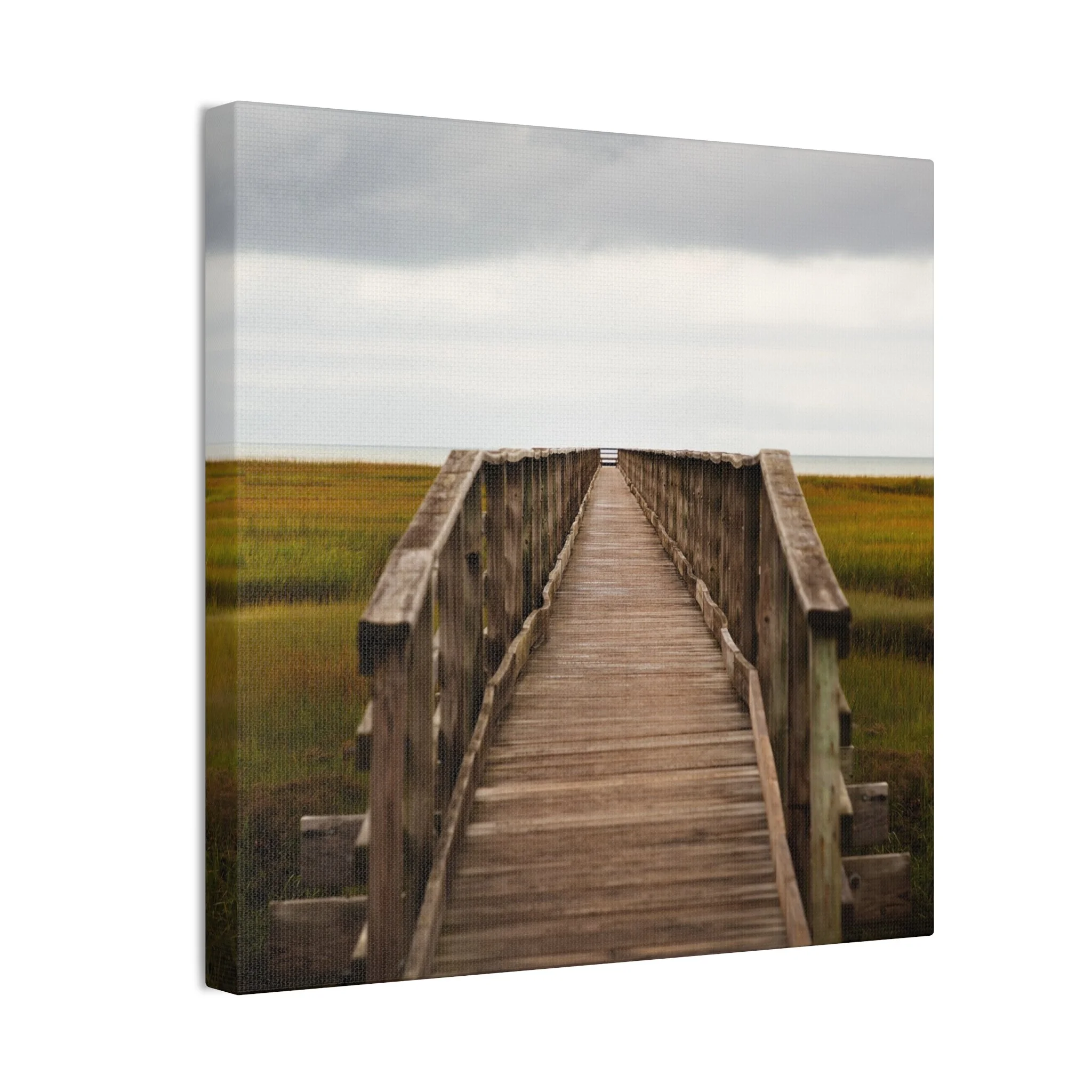 8076f693116fec8b8ee6fbcc8ddc3d9d