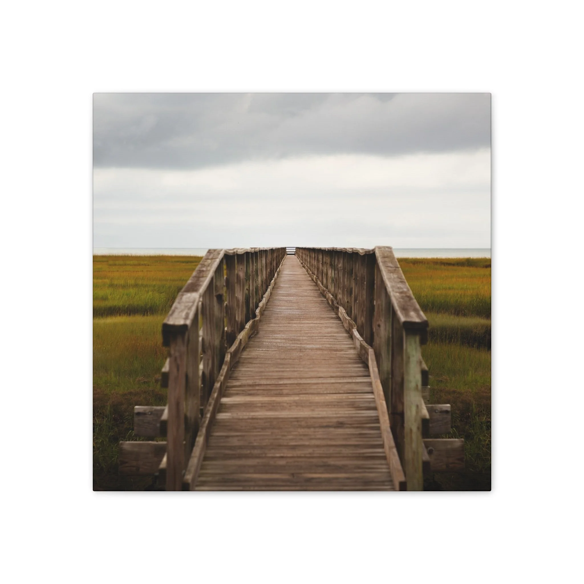 e78f0d7bad281ac59527045bbb972160