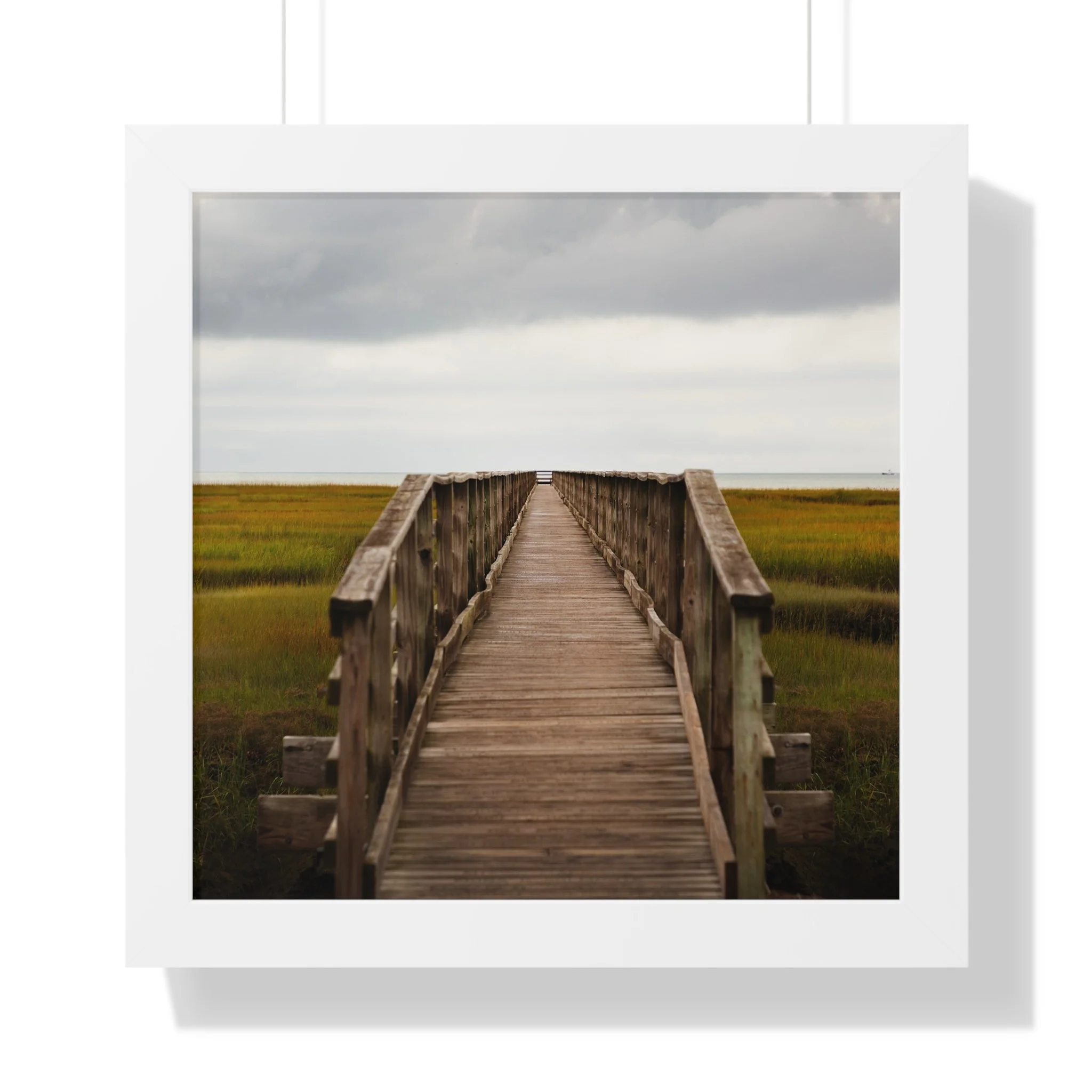 efbd7e03c1b866a323a485713bd4ed2c