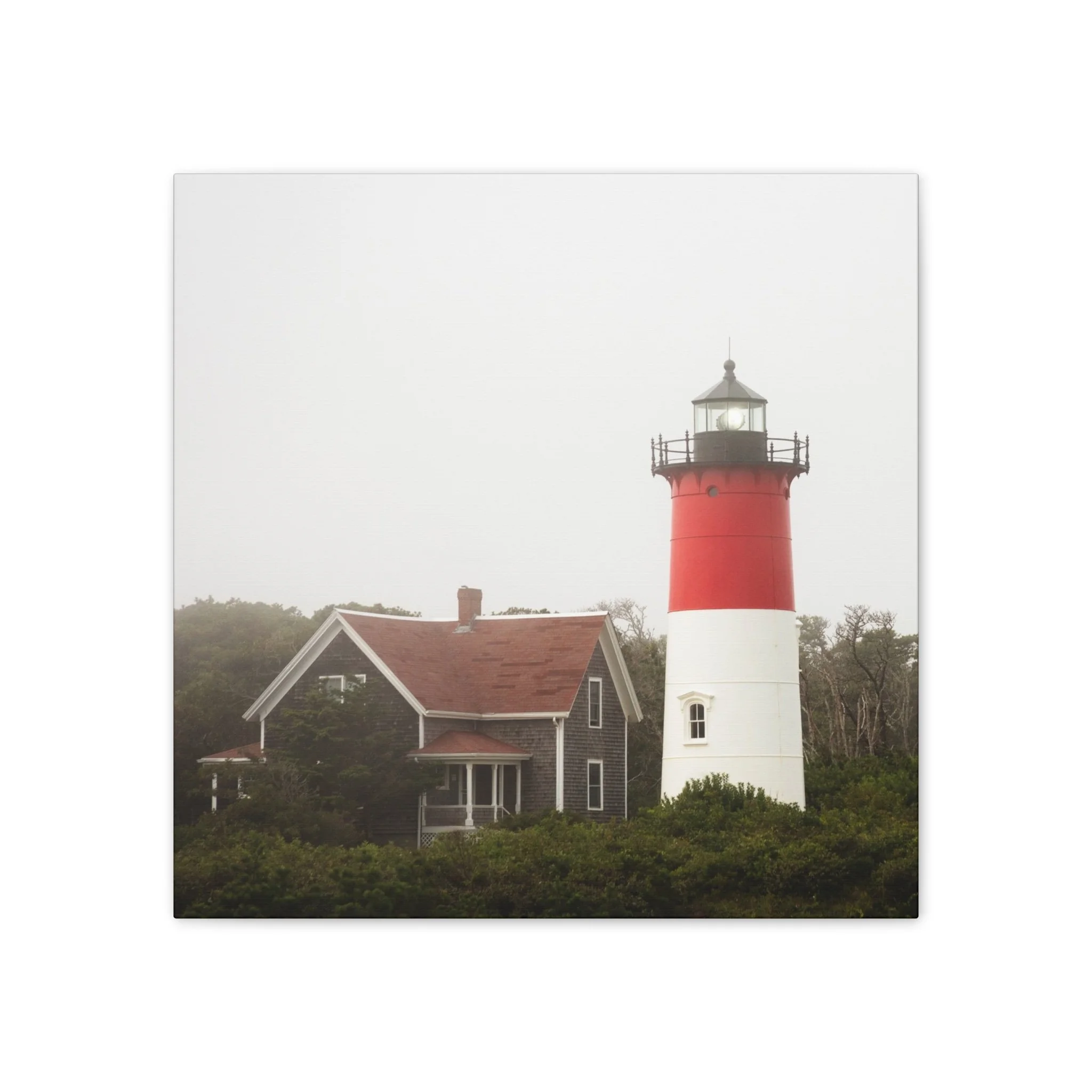 f4702640d3c2b8661b606c8dc0fb9011