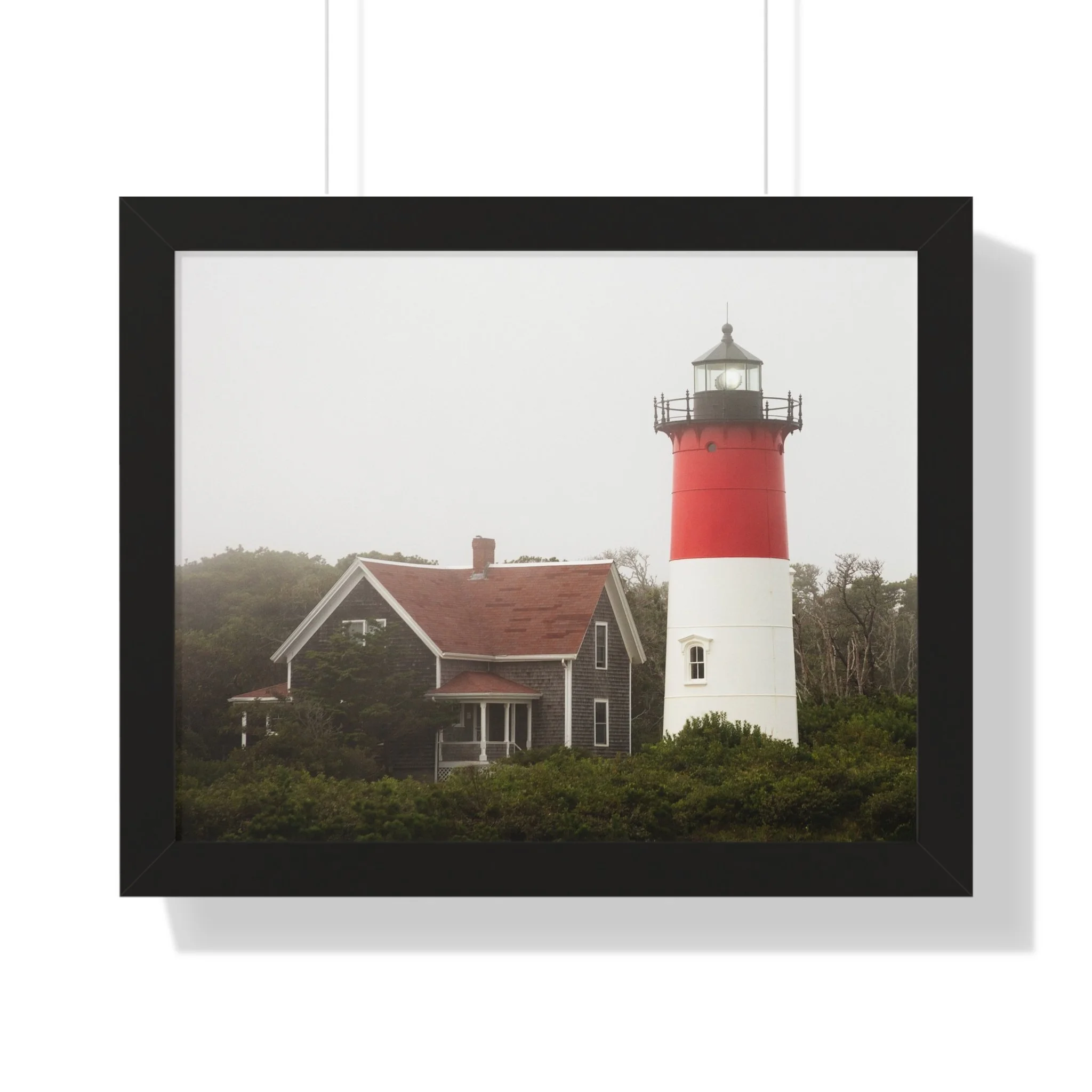 d86bfc3c89799fbe0653396b9b991089