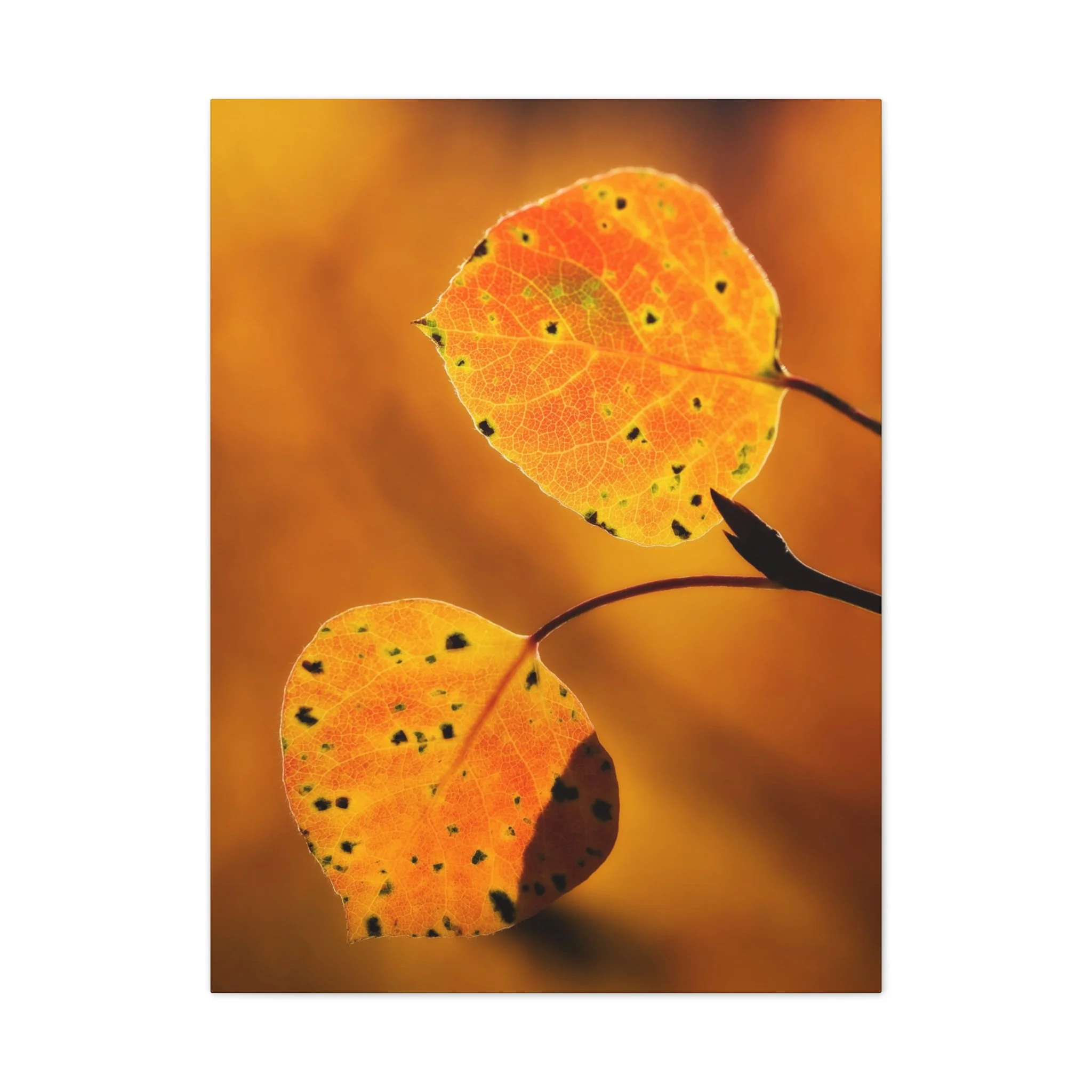 70557a8a409c7a82172ba439bbe9106b