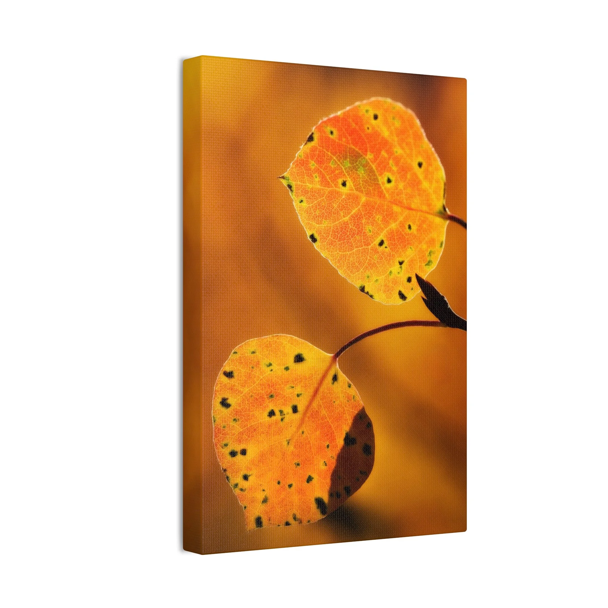 ea1bc04910daf231ee5d88e4bdf965c7