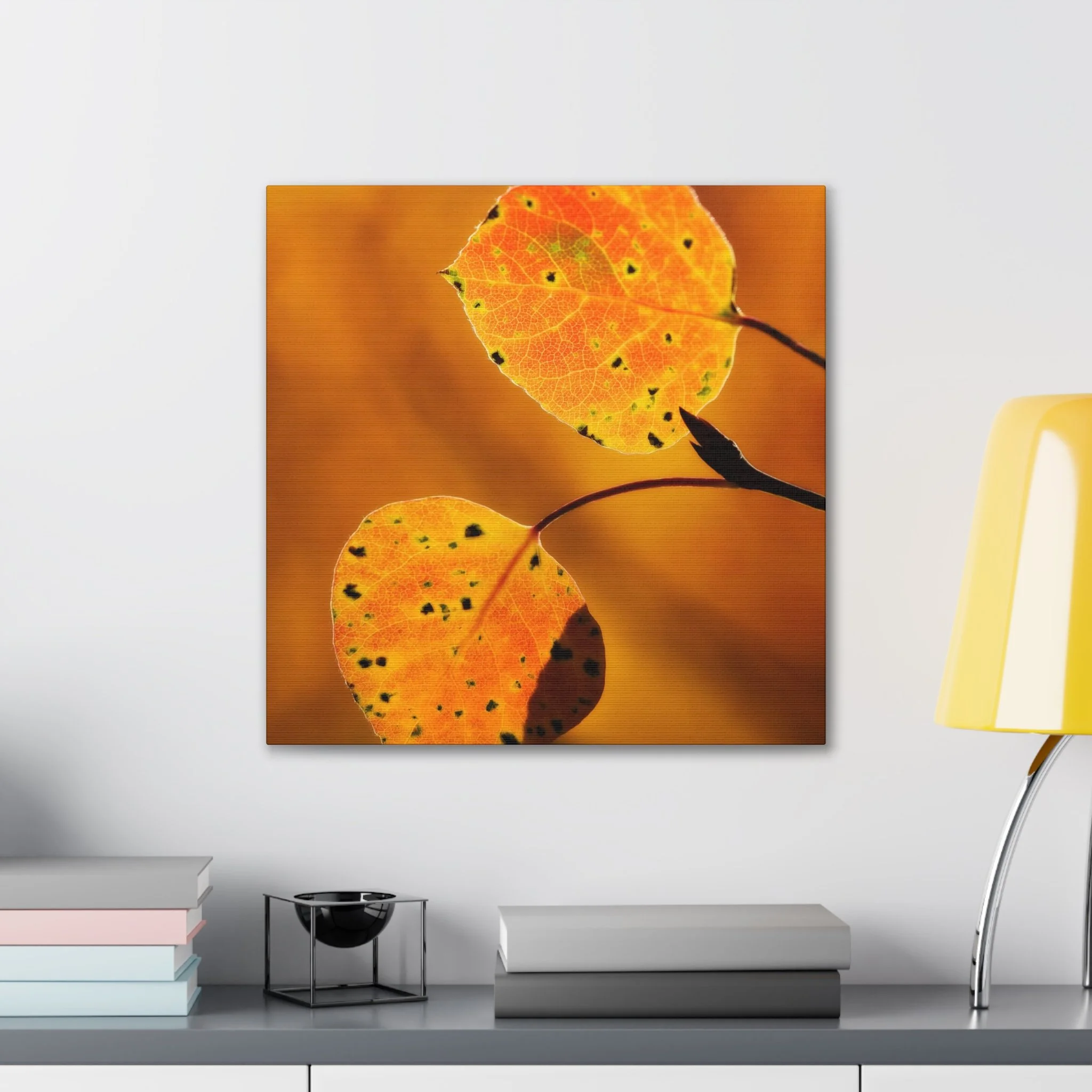 f97020c3ac363a62cc2f27fee5360a63