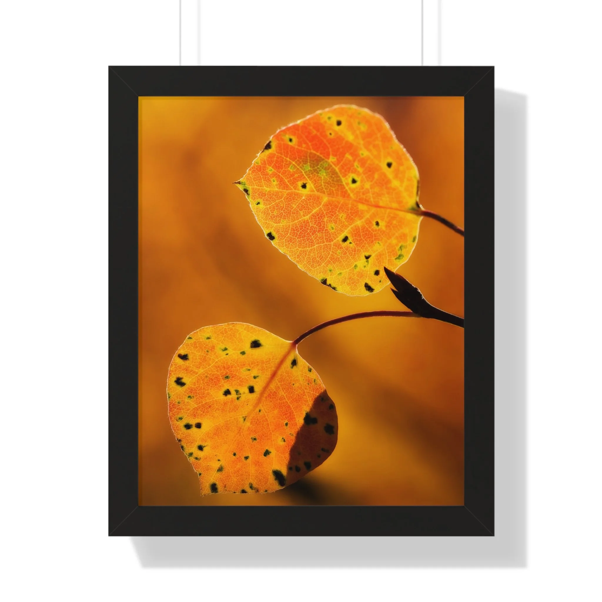 1e104fc346cfd943d289bb3e8572b411