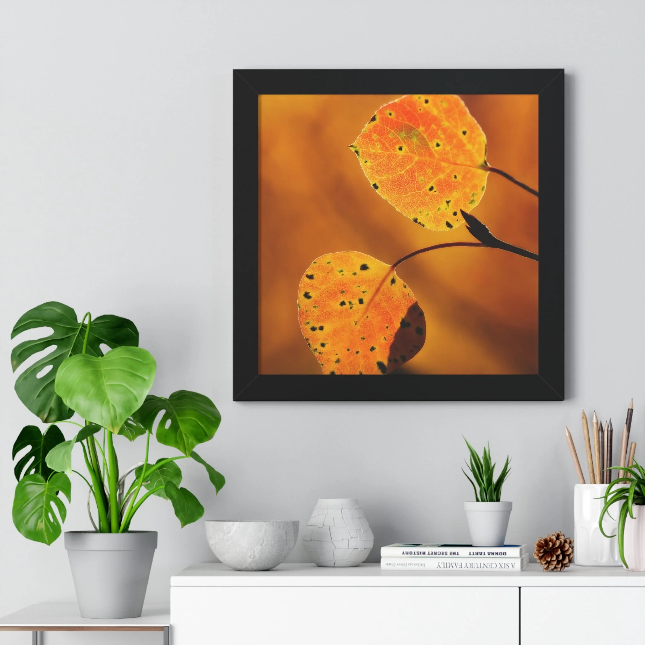 6279c351f3d201ae7fad2f03c336369a