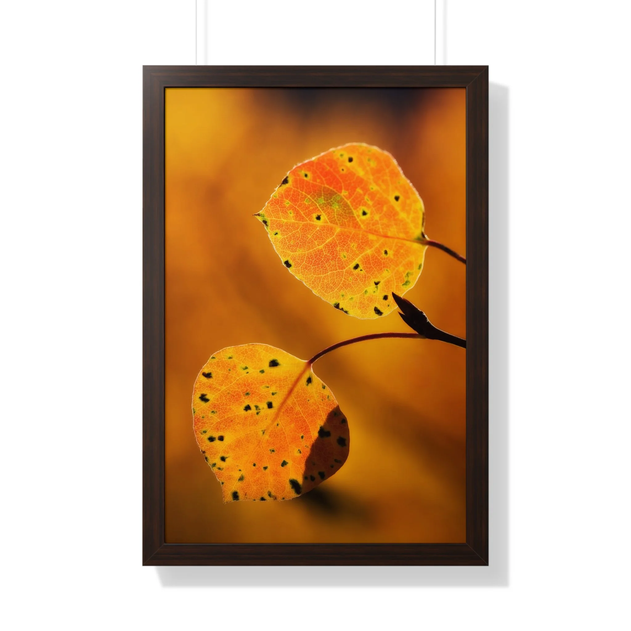 cf9bb6a0338adc940b22f9126c67693d