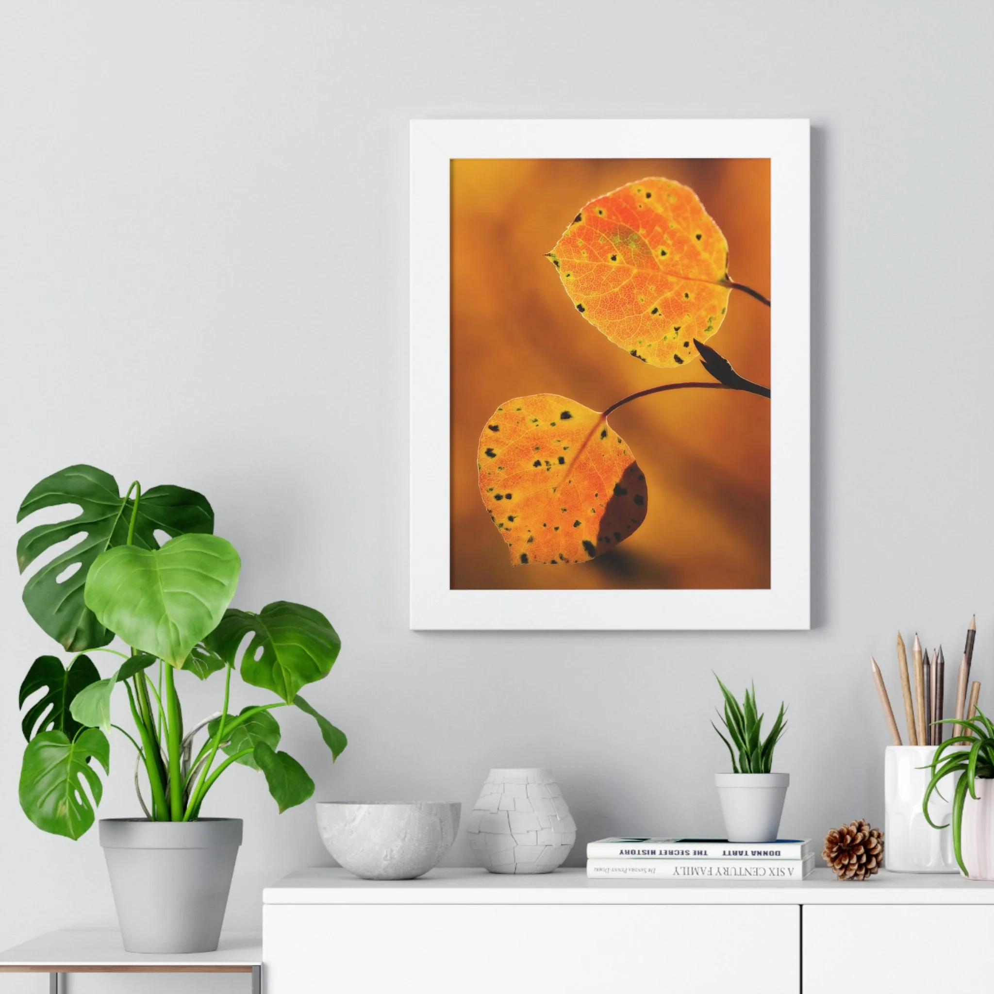 8769c755c6396891f860c61e201a2983