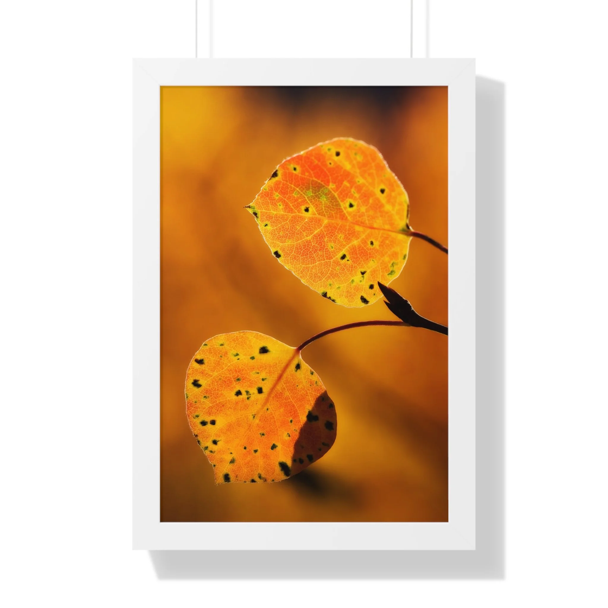 ea420884672b6cef9409e1fa373fe97f