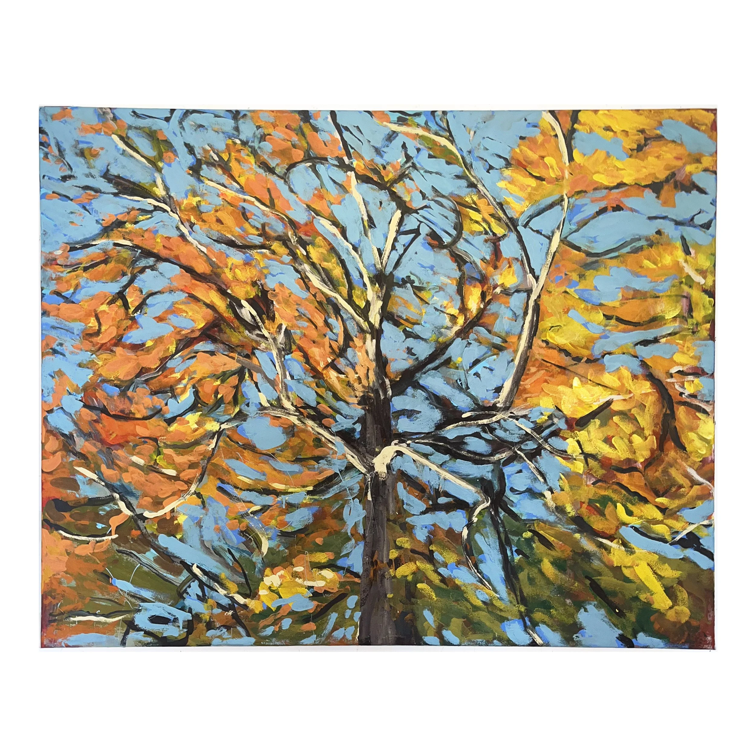 fall tree in brooklyn - white.jpeg
