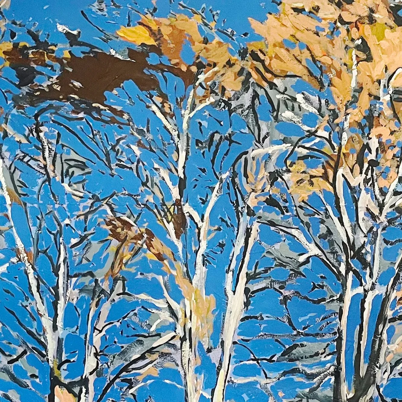 Prospect+Trees%2C+2025%2C+xxx+-+white1.jpg