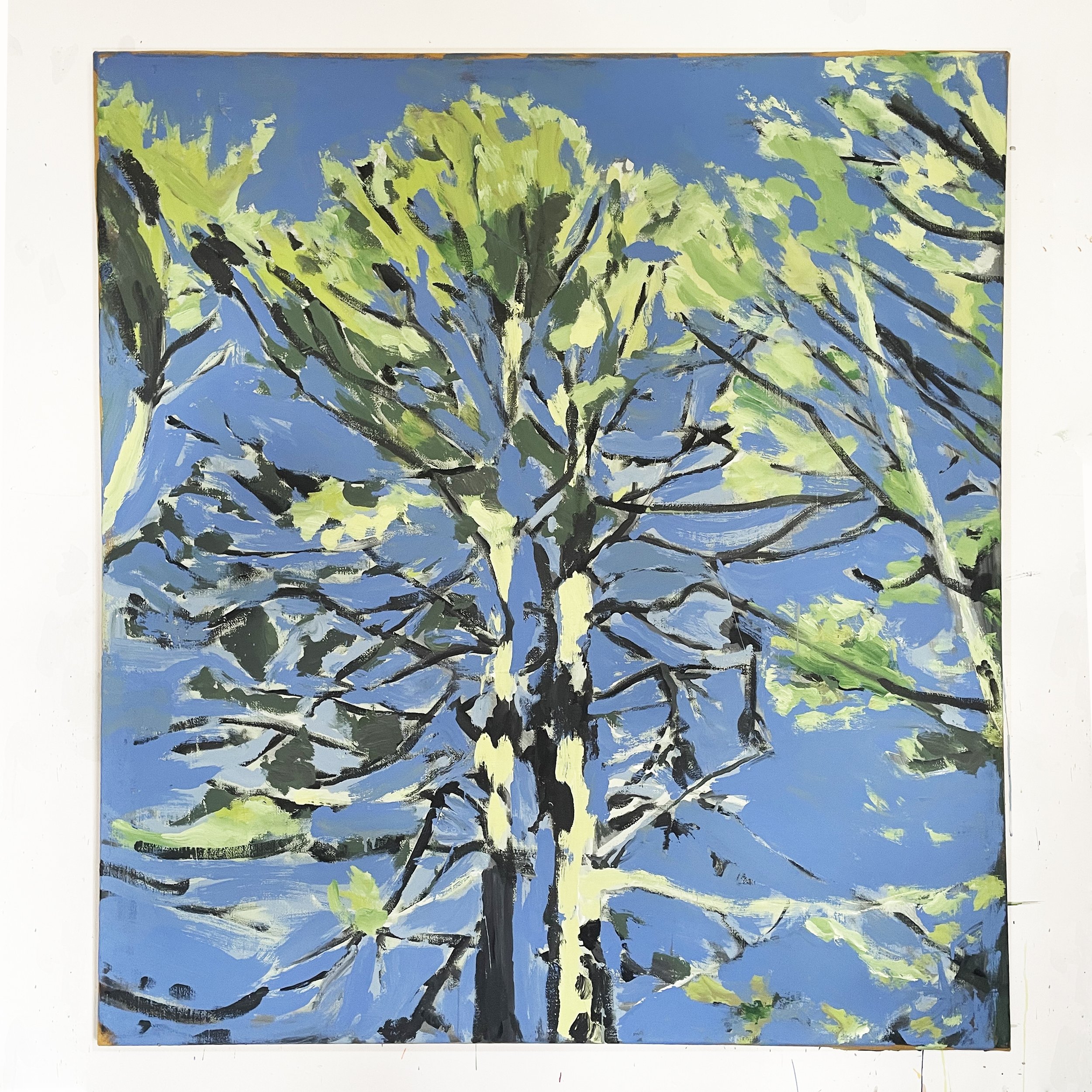 swaying spring trees