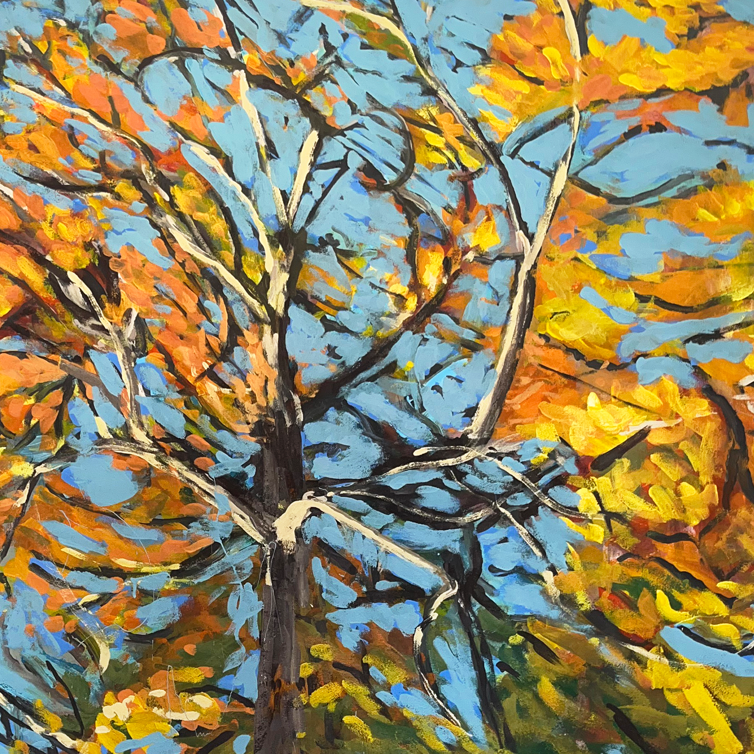 fall tree in brooklyn - crop.png