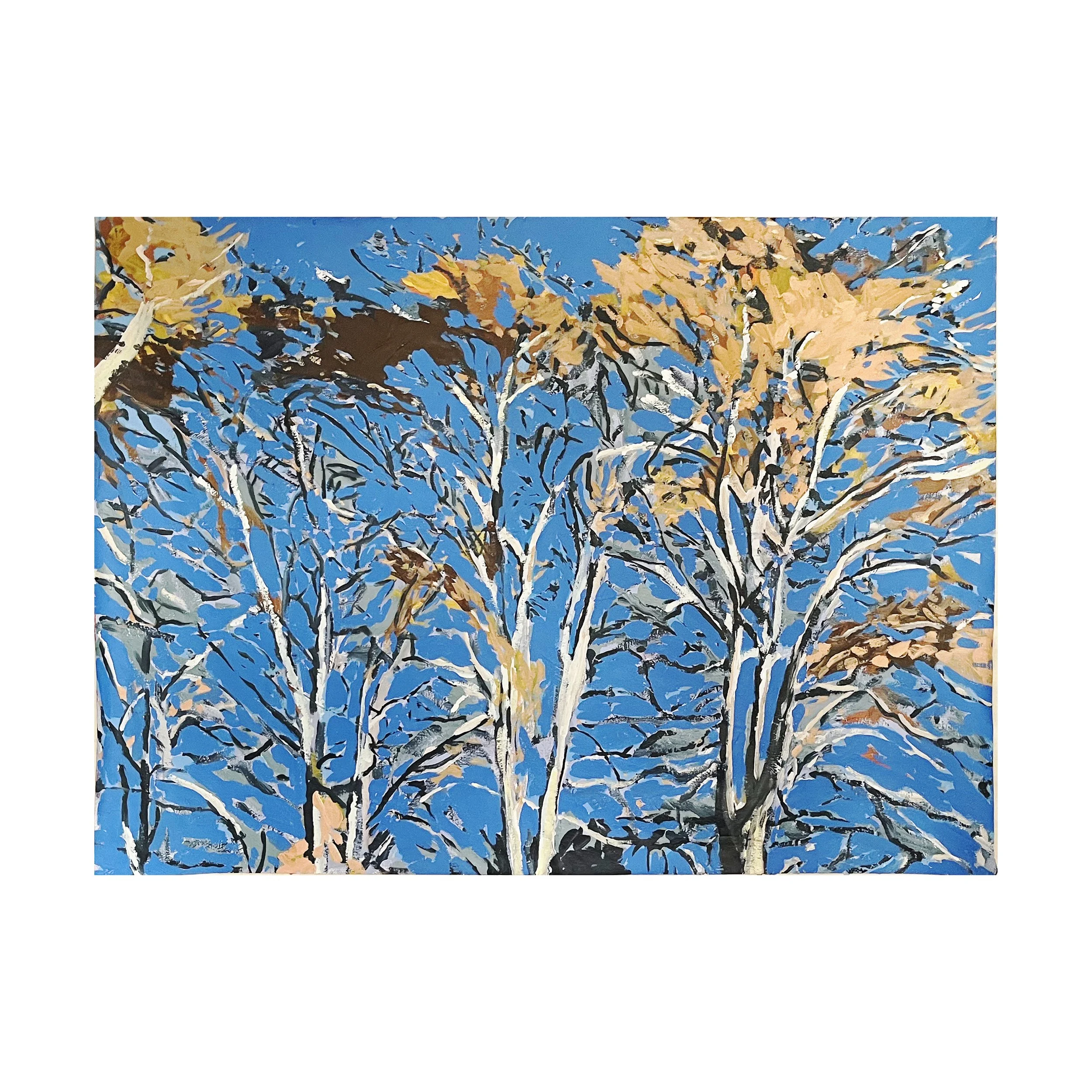 Prospect Trees, 2025, xxx - white1.jpg