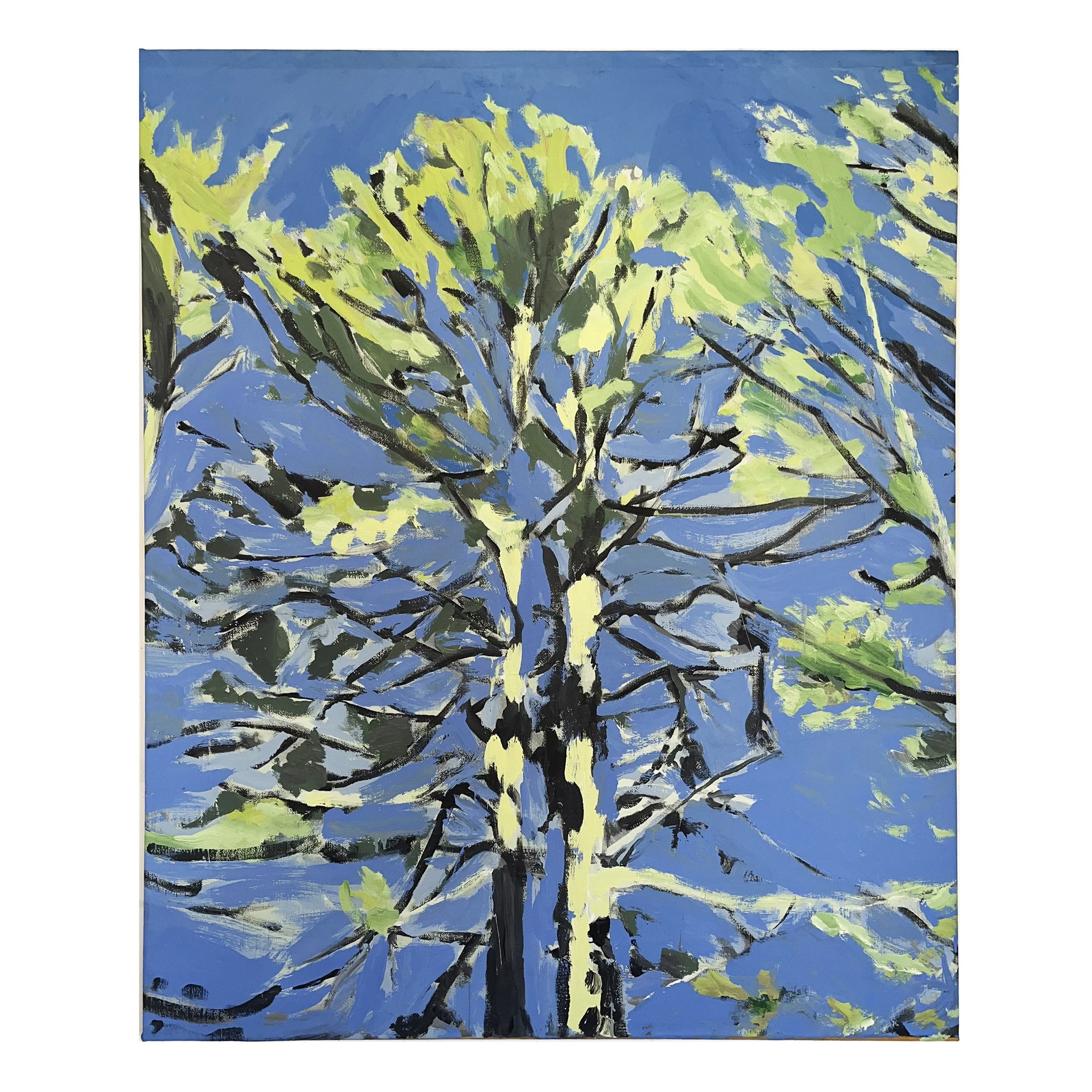 Swaying Spring Trees, 2024