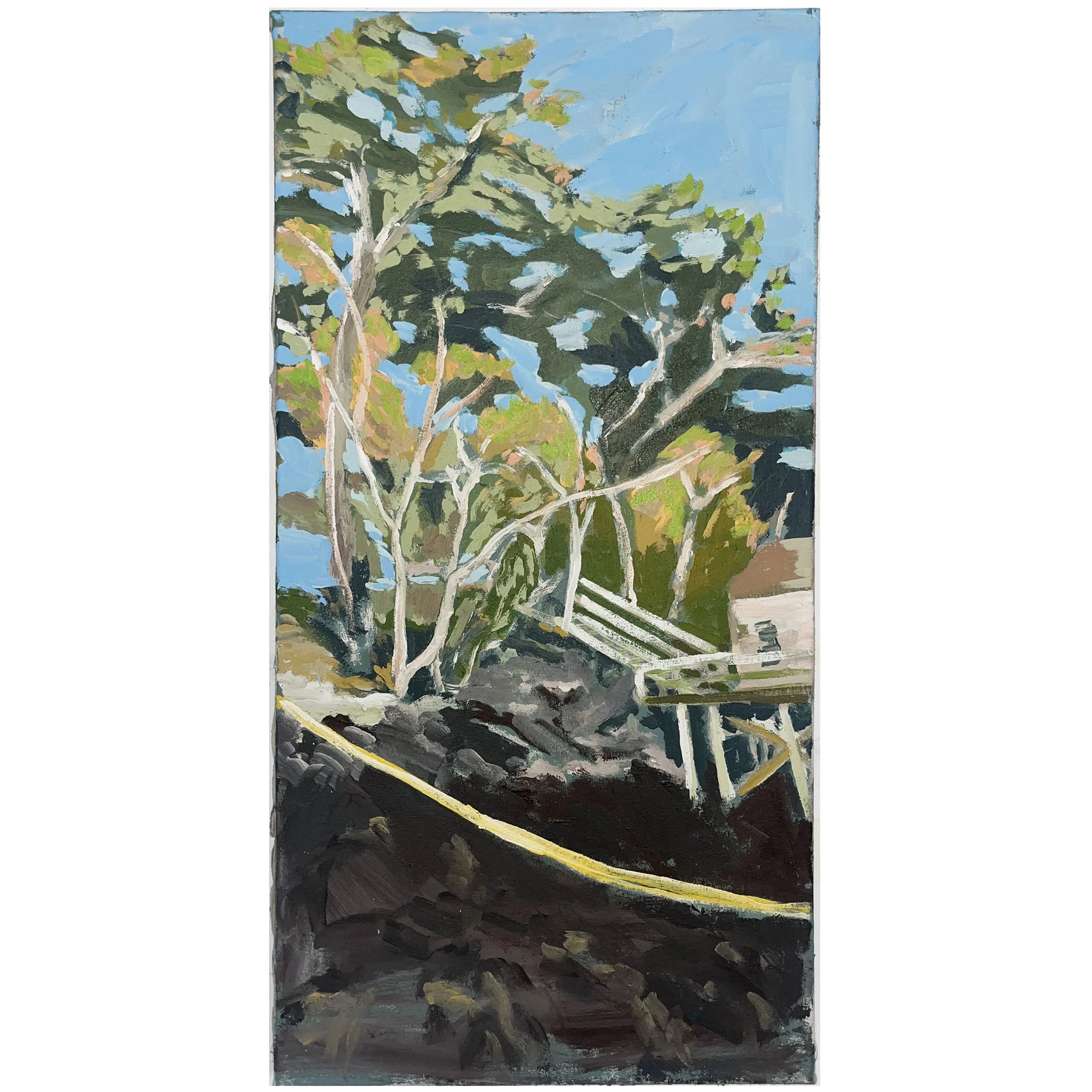 Looking up from low tide, 2025