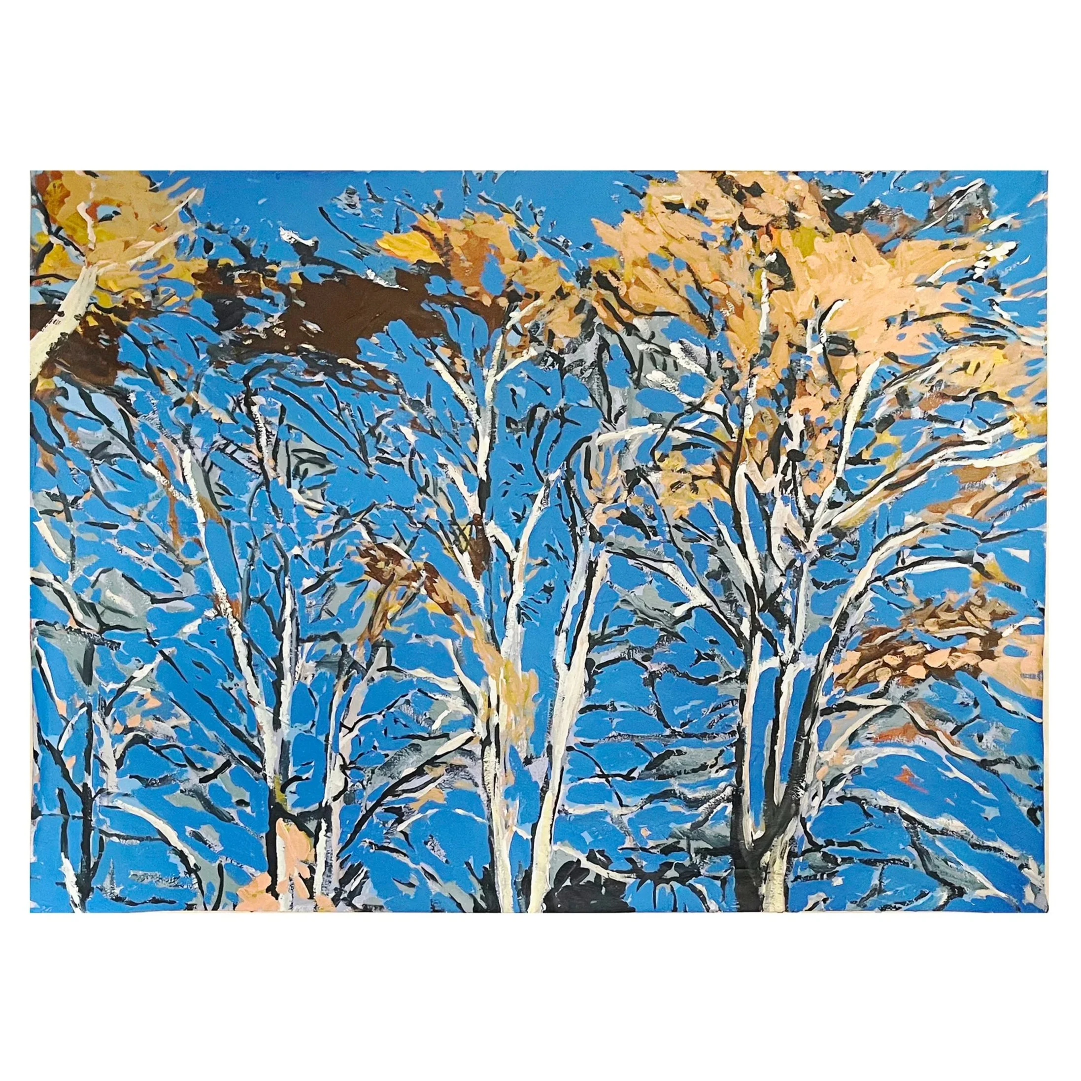 Prospect+Trees%2C+2025%2C+xxx+-+white1.jpg