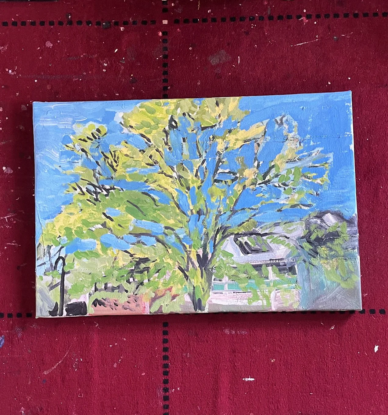 tree from the balcony, 2024,  - Studio Floor.jpg