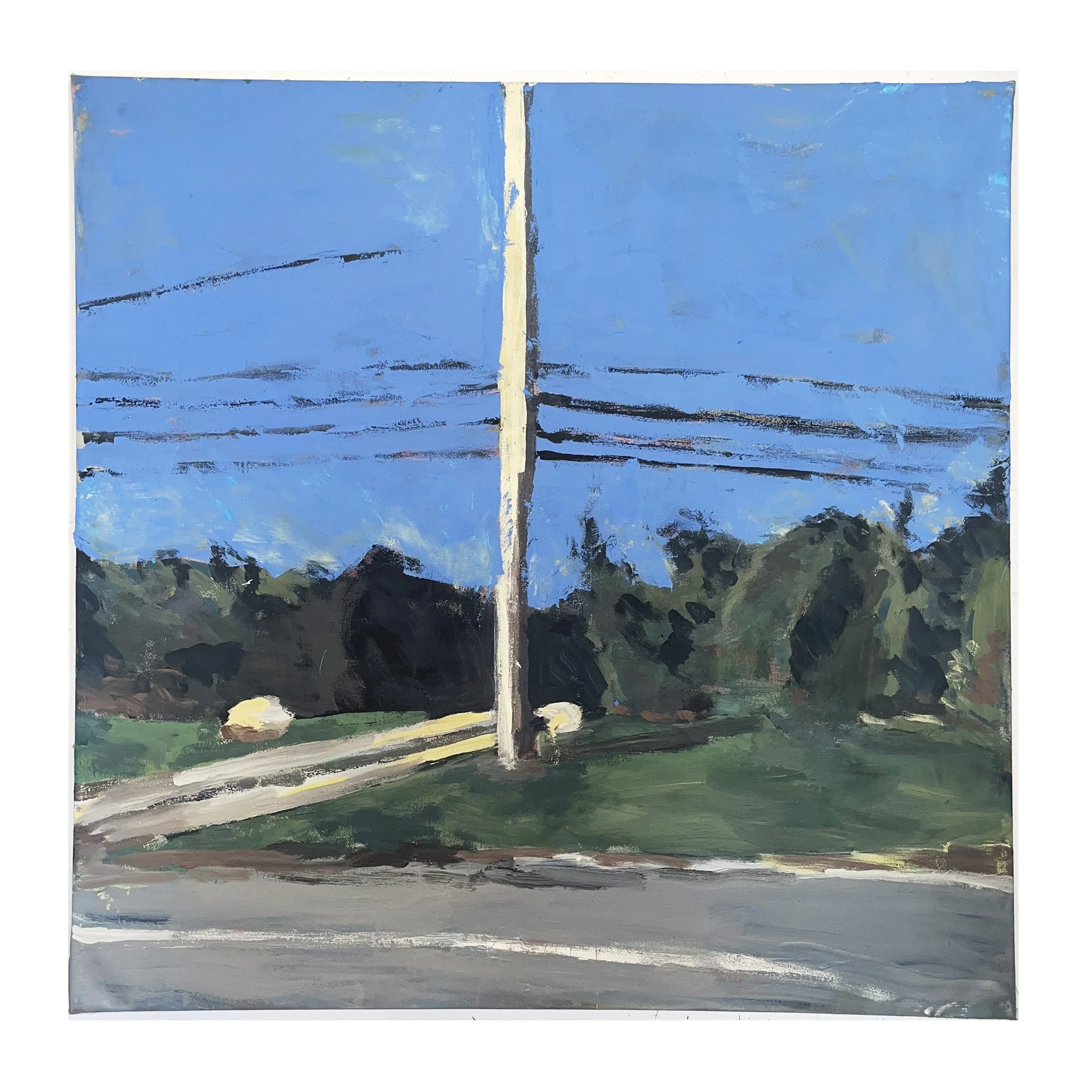 sunlit telephone pole - white.jpeg