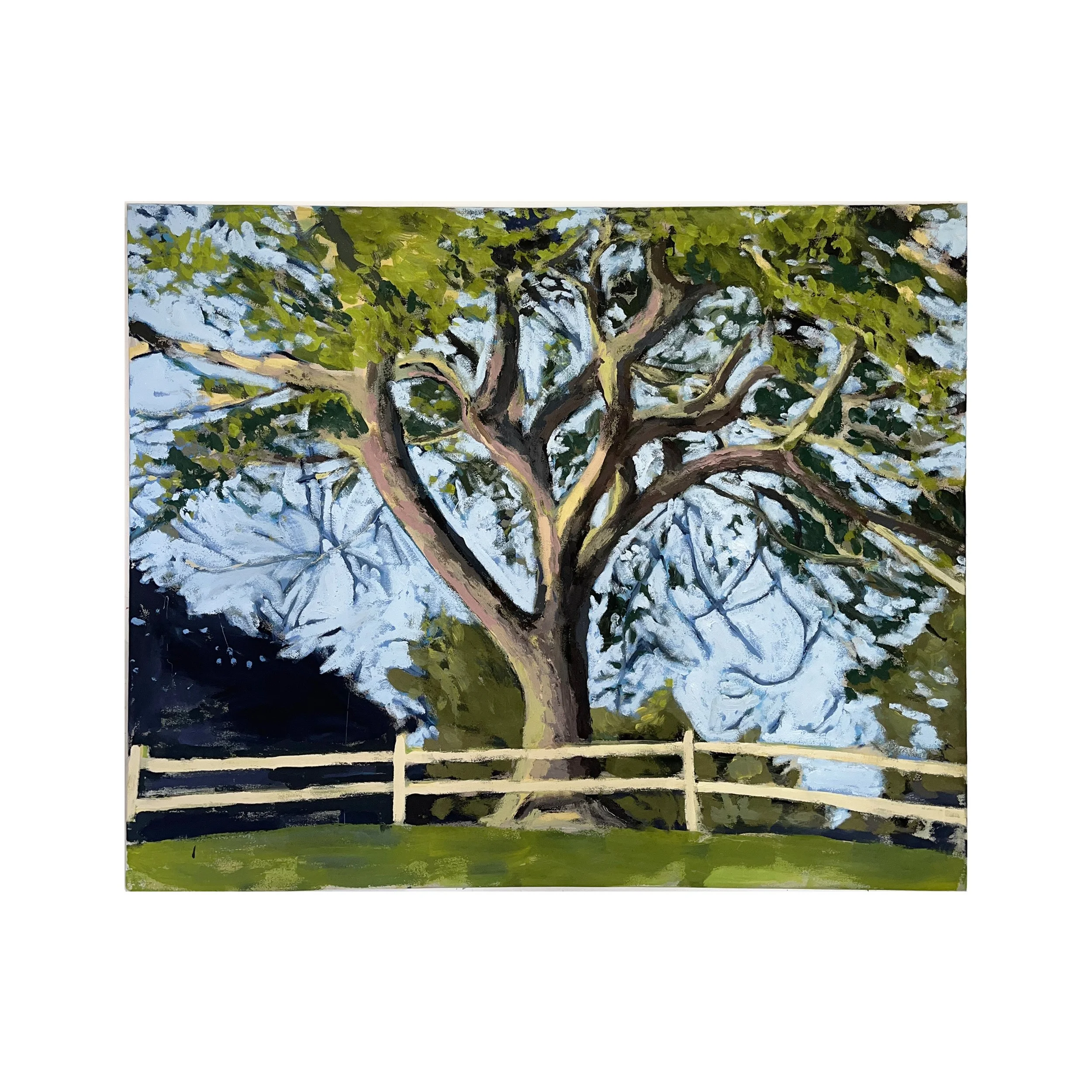 Wards Beach Tree, 2025, 44x54  - in space.jpg