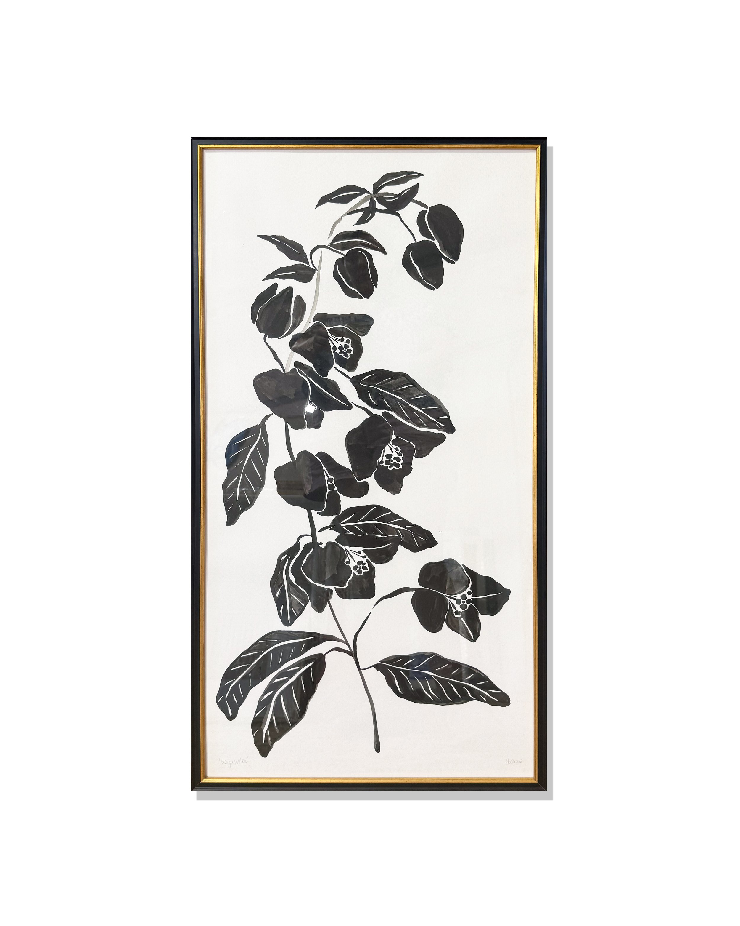 bougainvillea.jpg