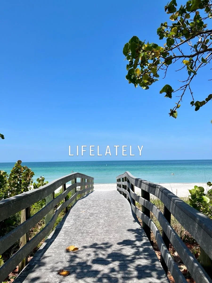 🧜&zwj;♀️ ☀️ L I F E L A T E L Y ☀️ 🧜&zwj;♀️