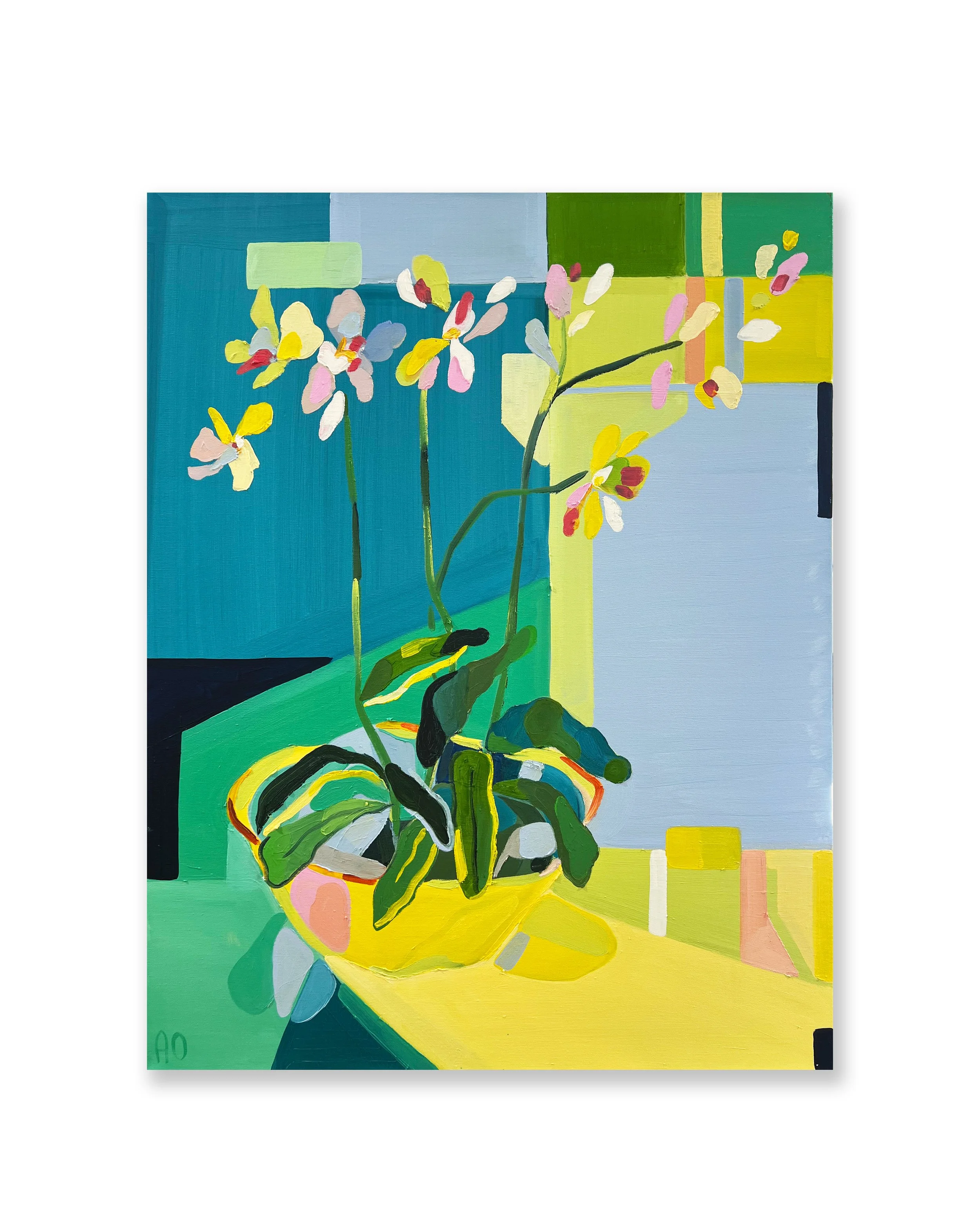 'Orchideae'