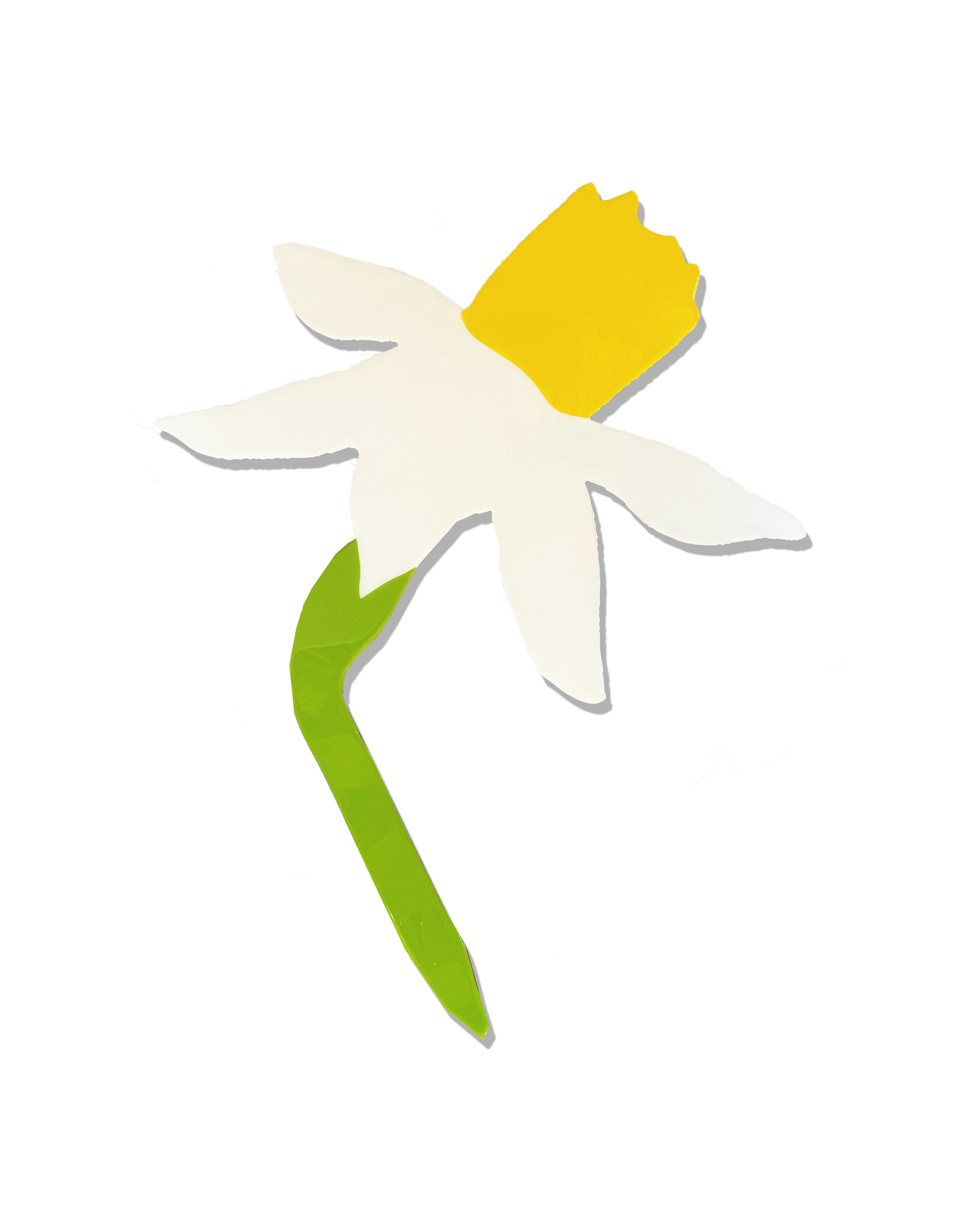 Daffodil2.jpg