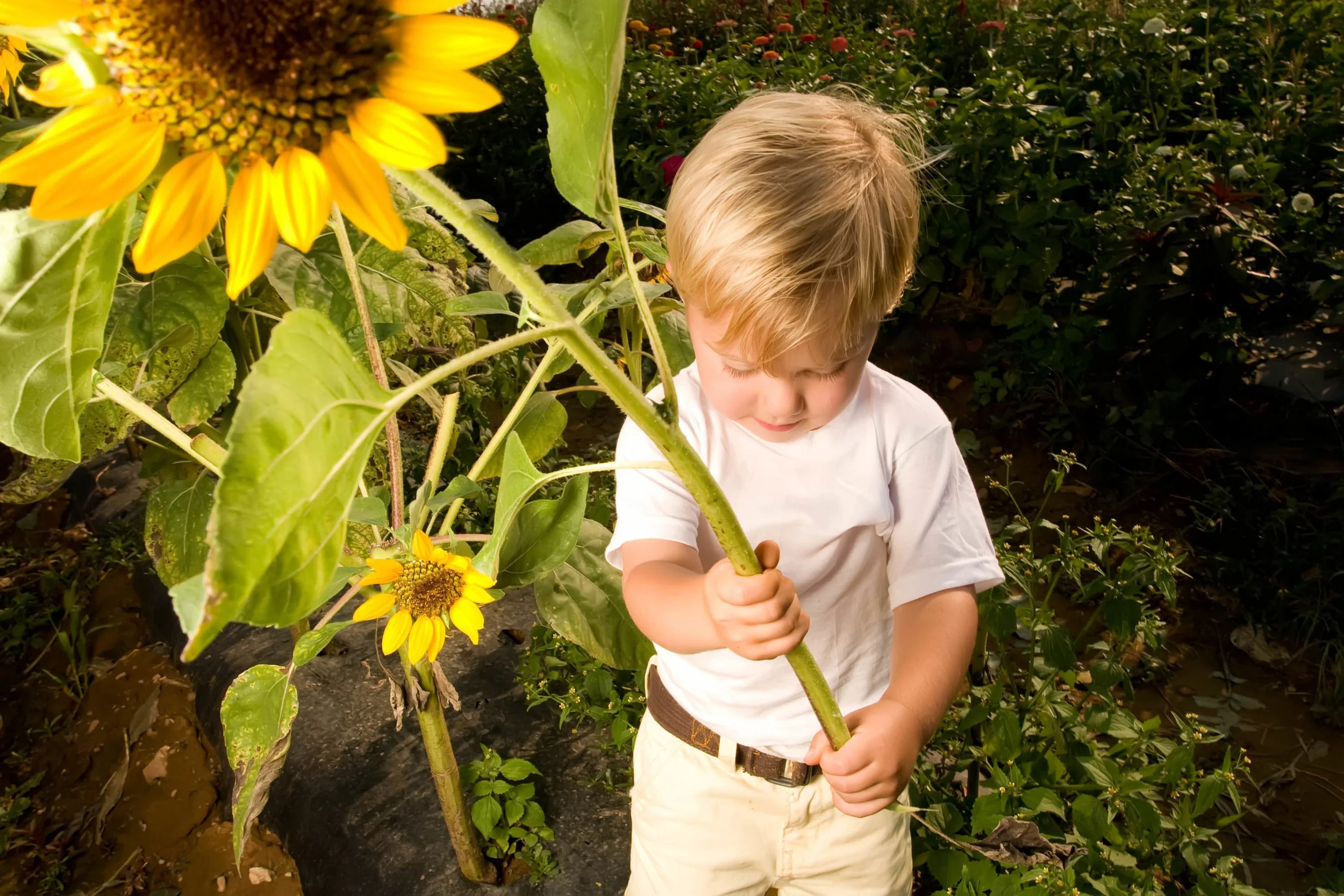 FamilyOutsideSummerFun-25.jpg