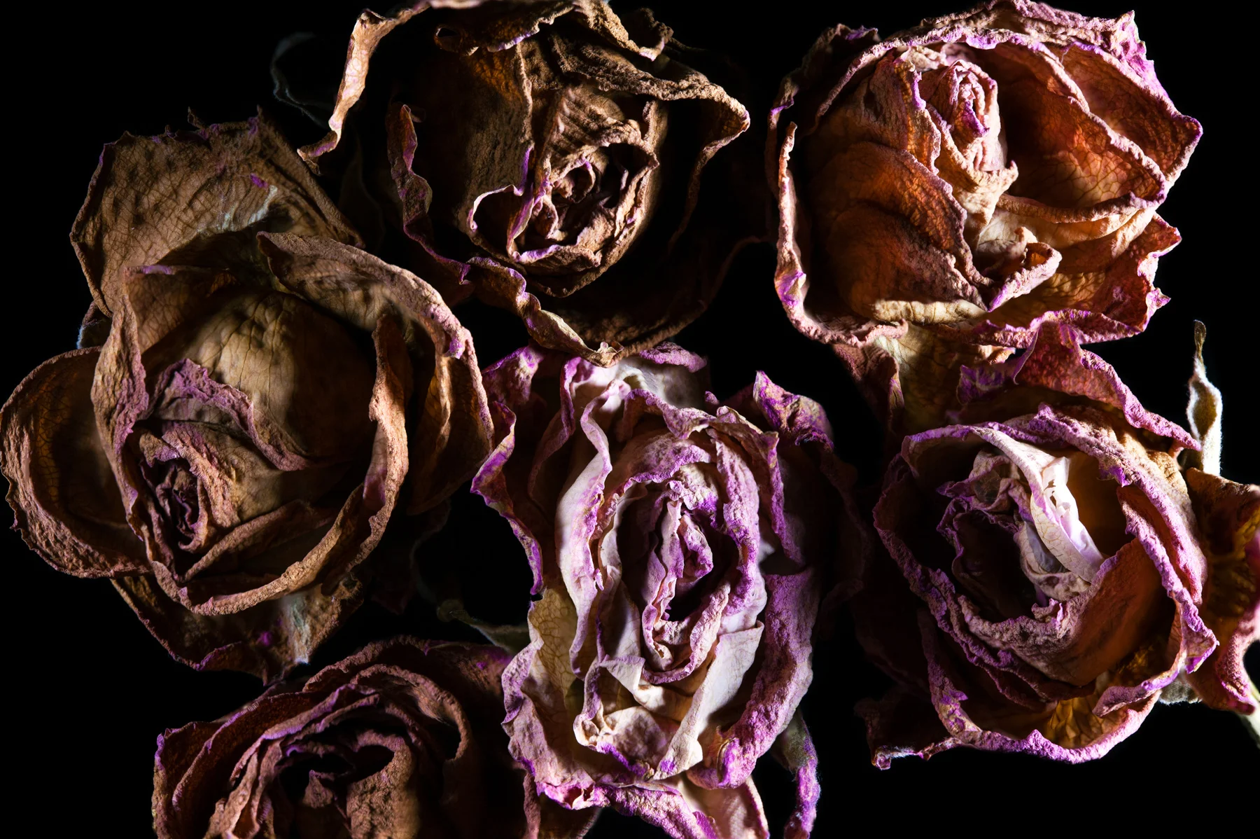 Flower3.jpg