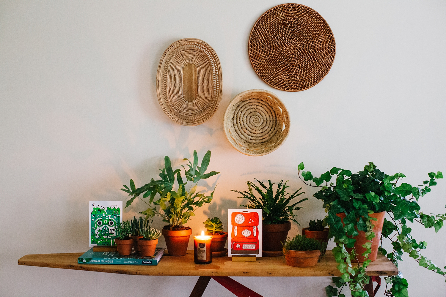 Pro Tip | Hanging Baskets