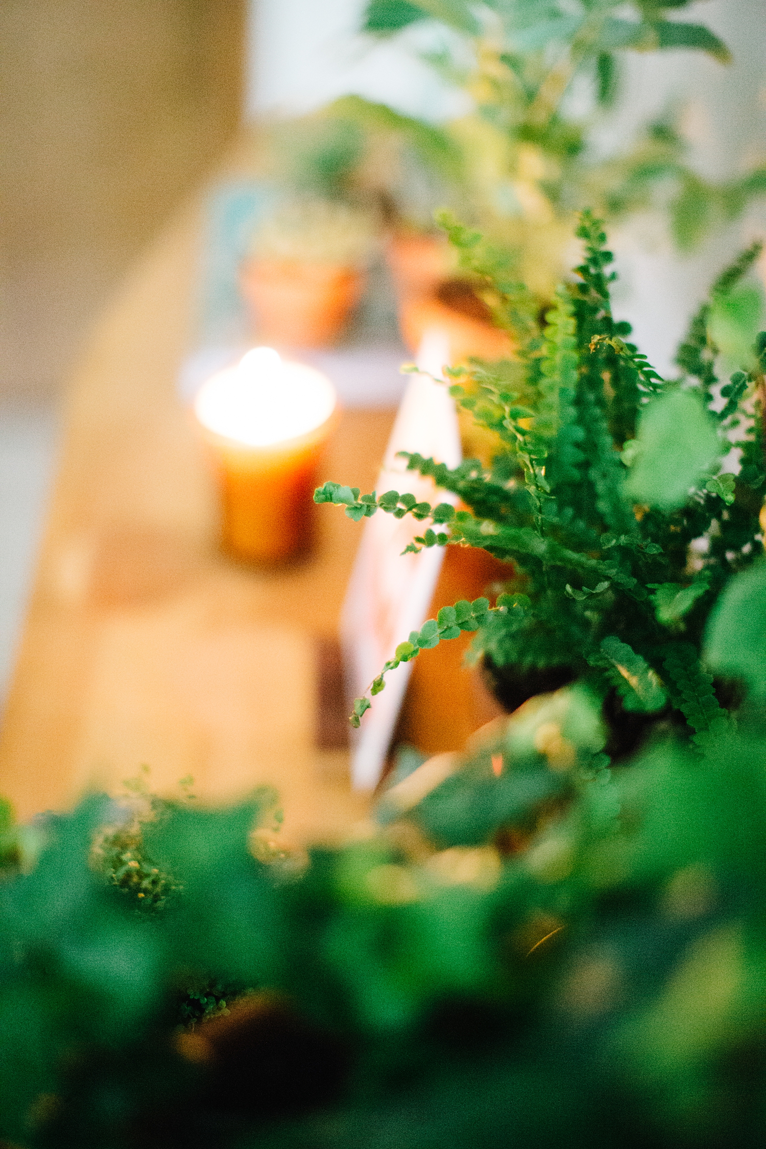 Candlelight and houseplants are a great combination.