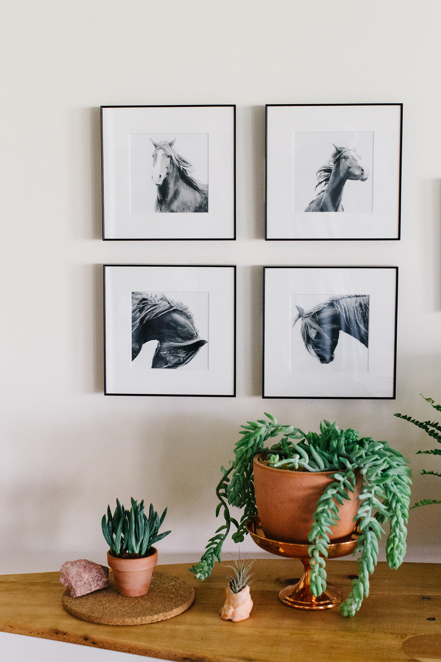Equine art framed simply.
