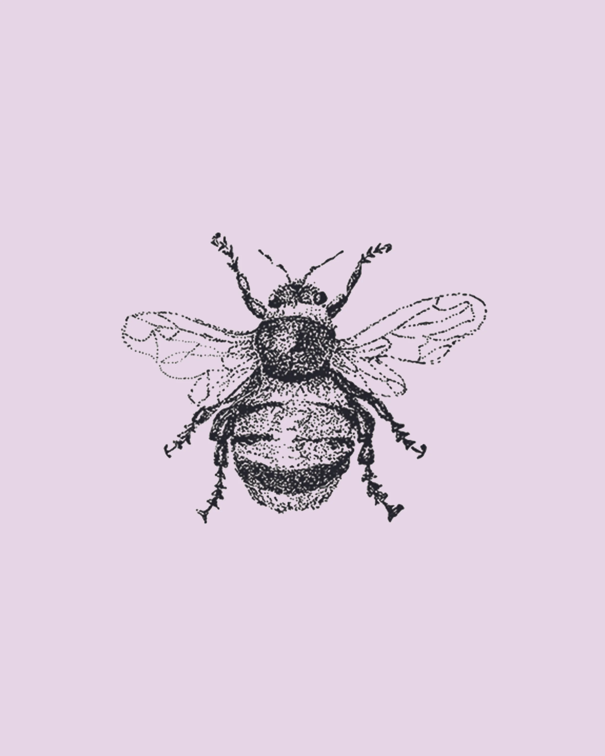Bumble Bee.jpg