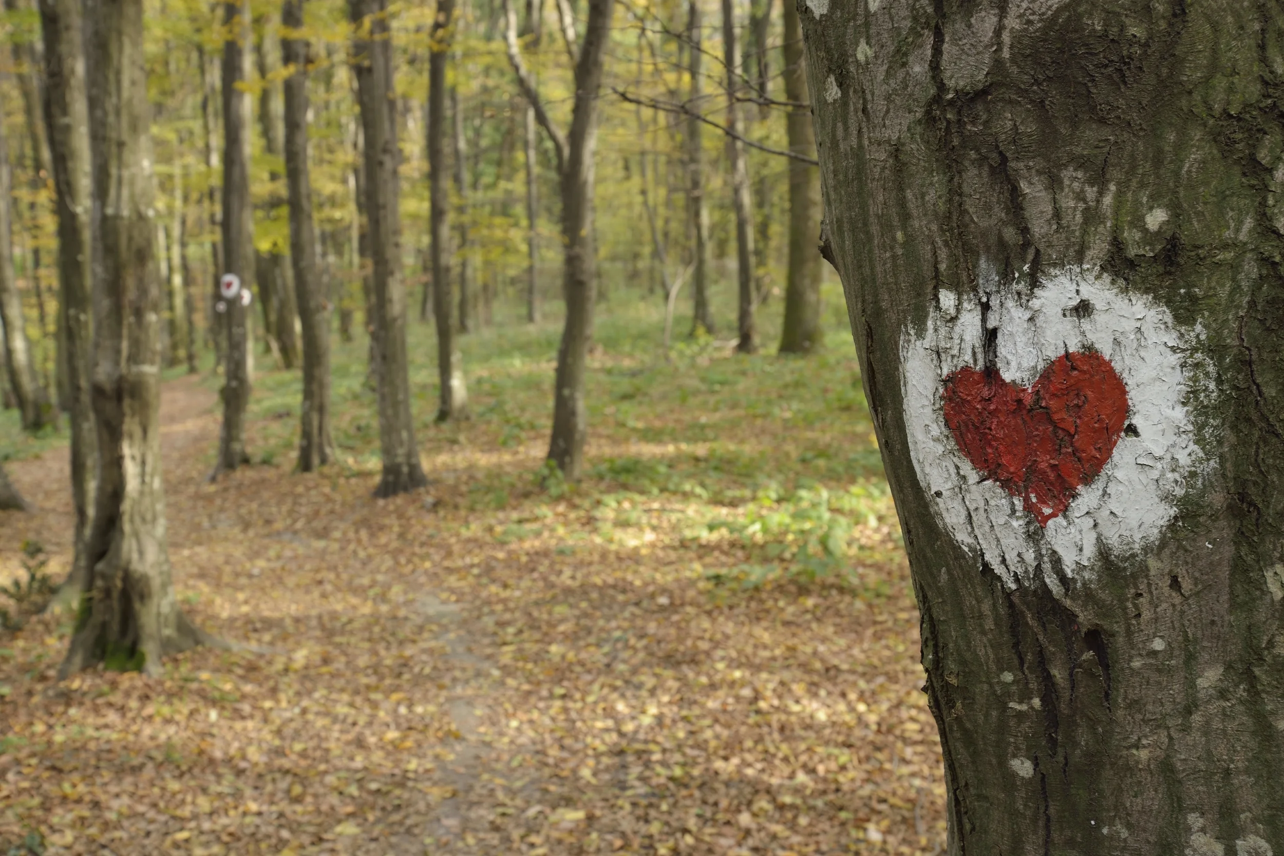 iStock_000031165868_Full.jpg