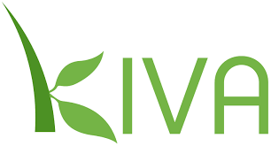 Kiva Zip 