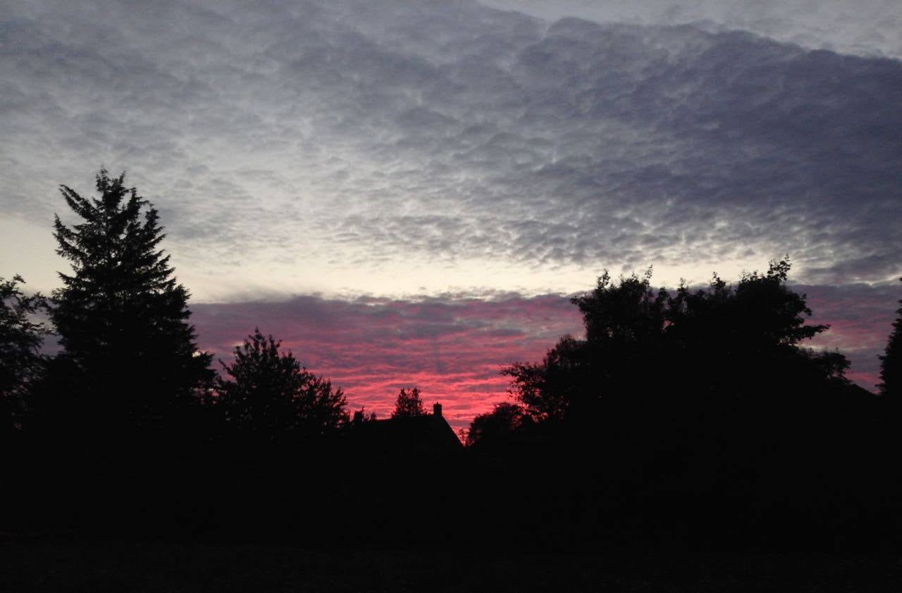 Nice picture of dramatic sunset over the garden... might be a good time to look for bats?