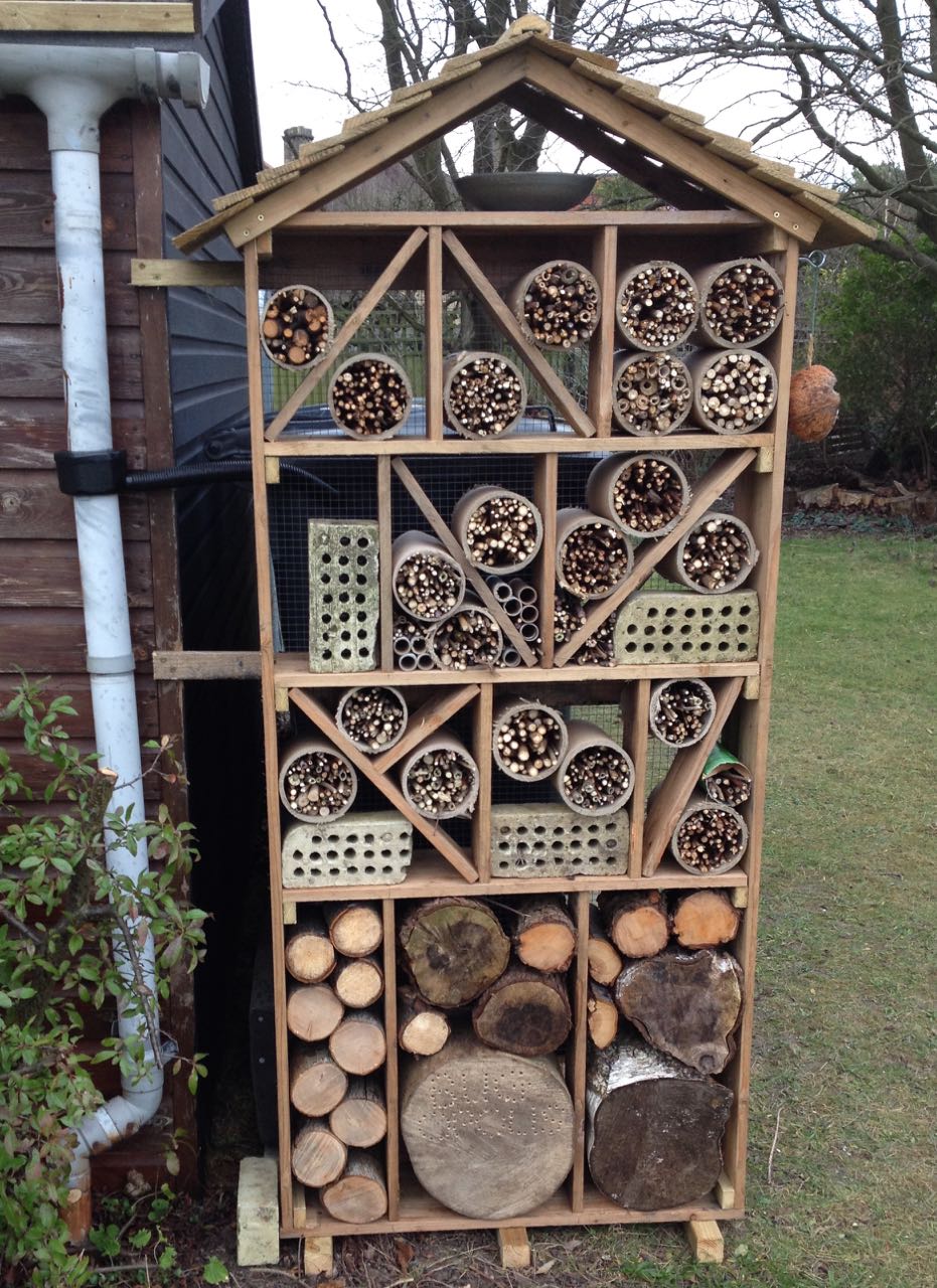 January 2016. We were still adding materials to the Bug-opolis and needed to do more drilling of the logs. We had until the summer to finish it... some children had been collecting some short sticks and adding them.